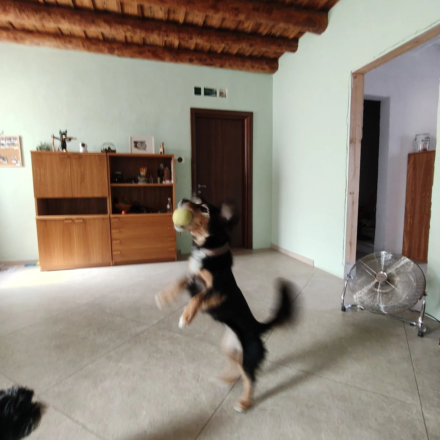 image-61