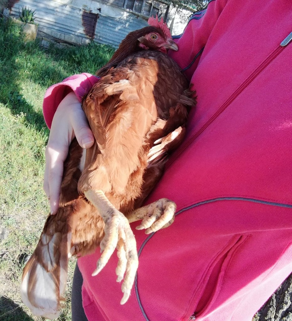 image-9