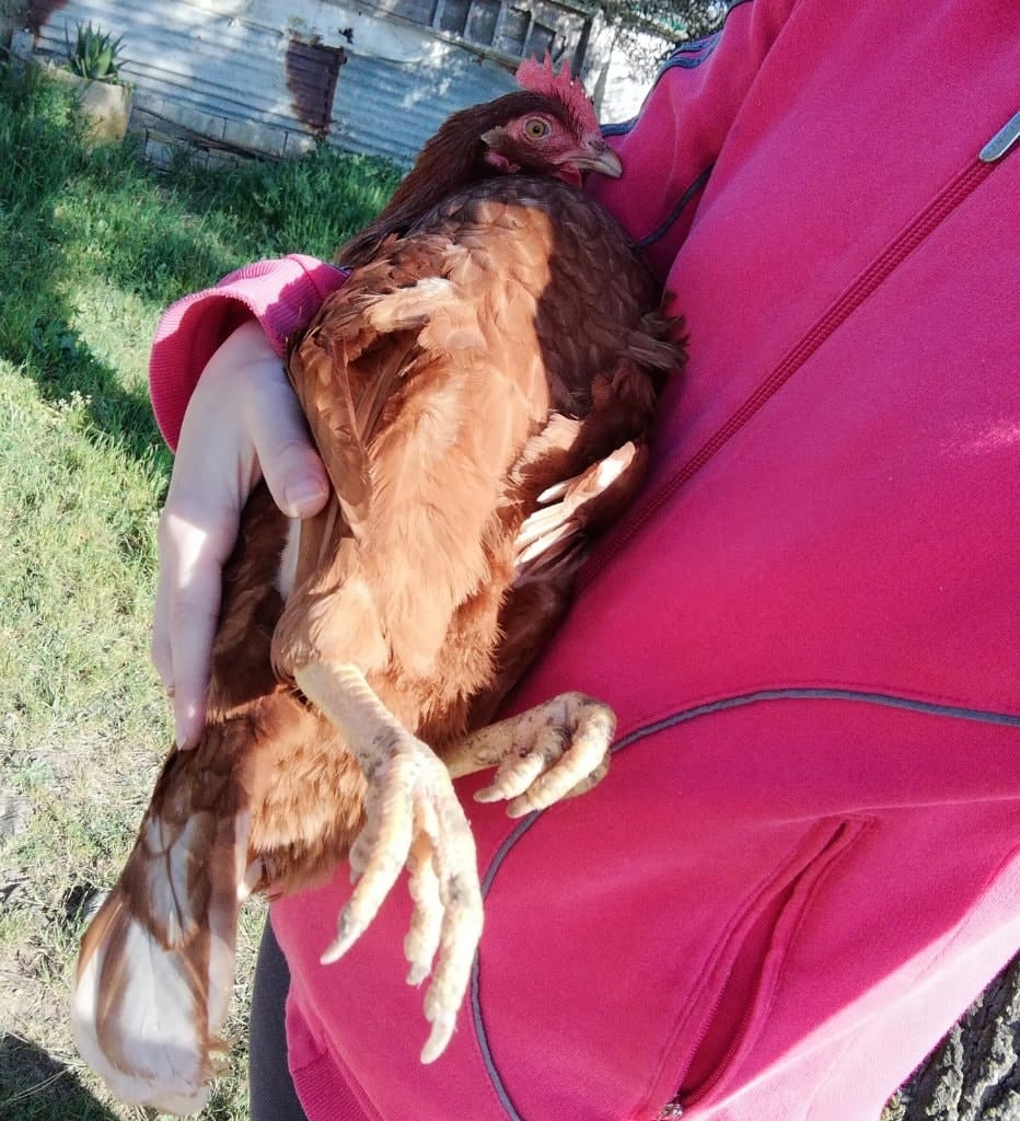 image-9