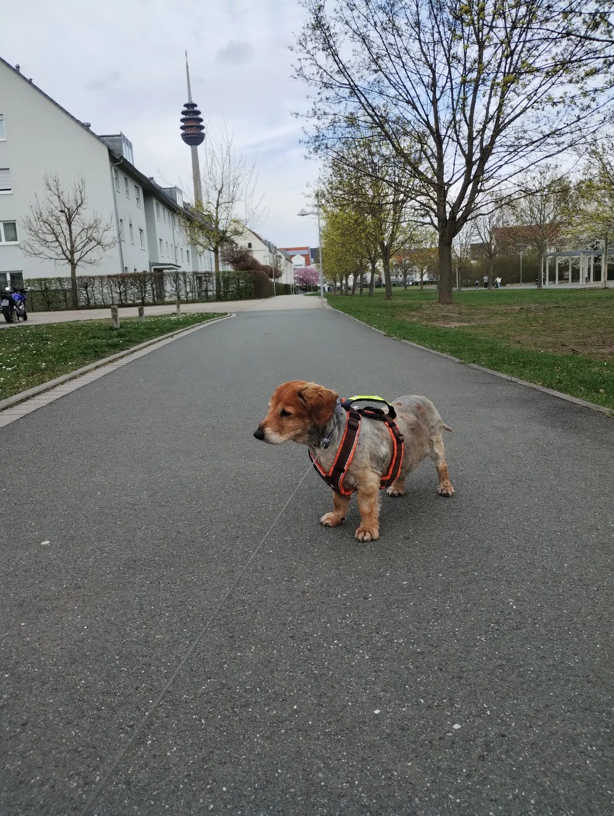image-21