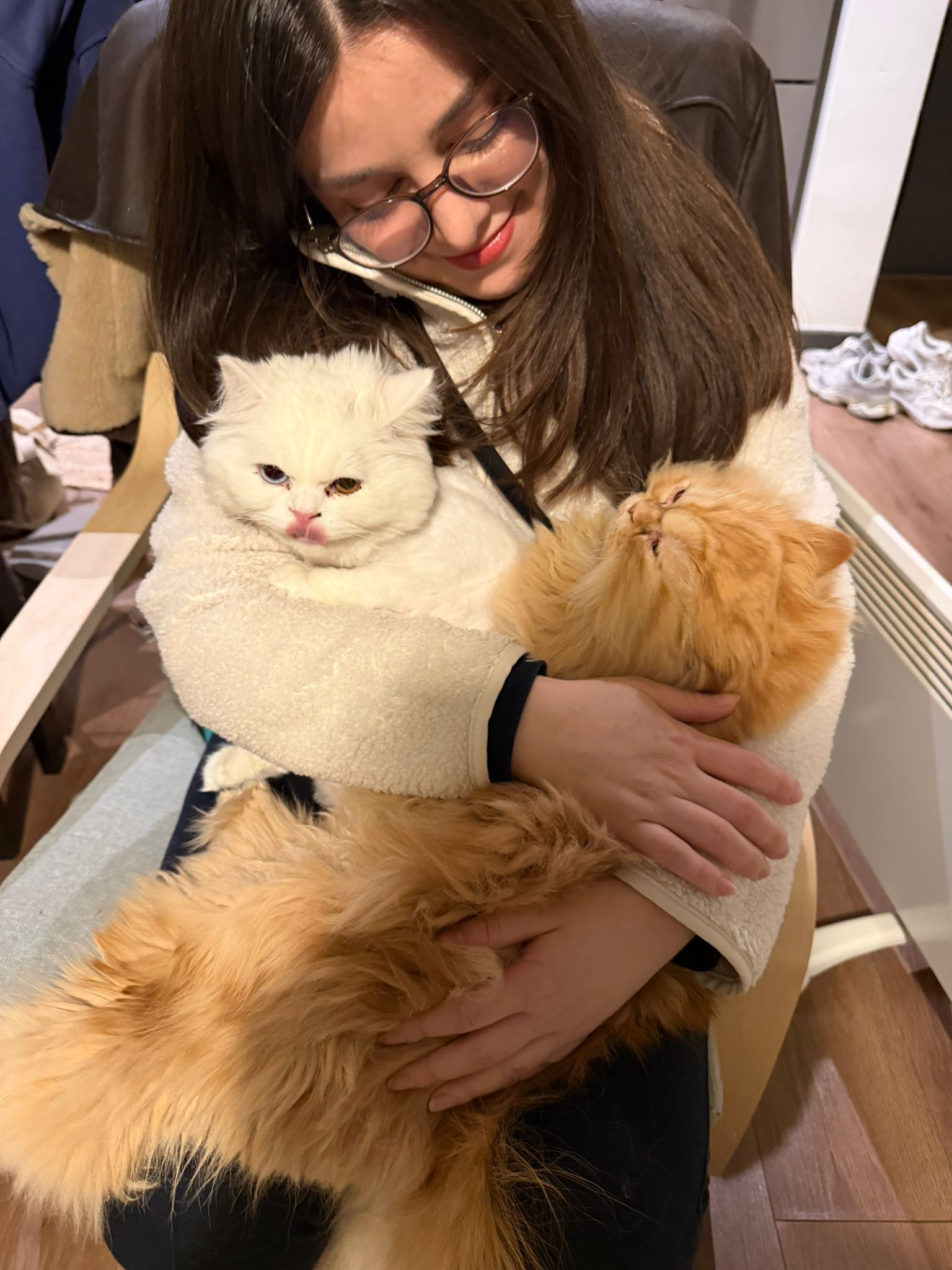 image-8