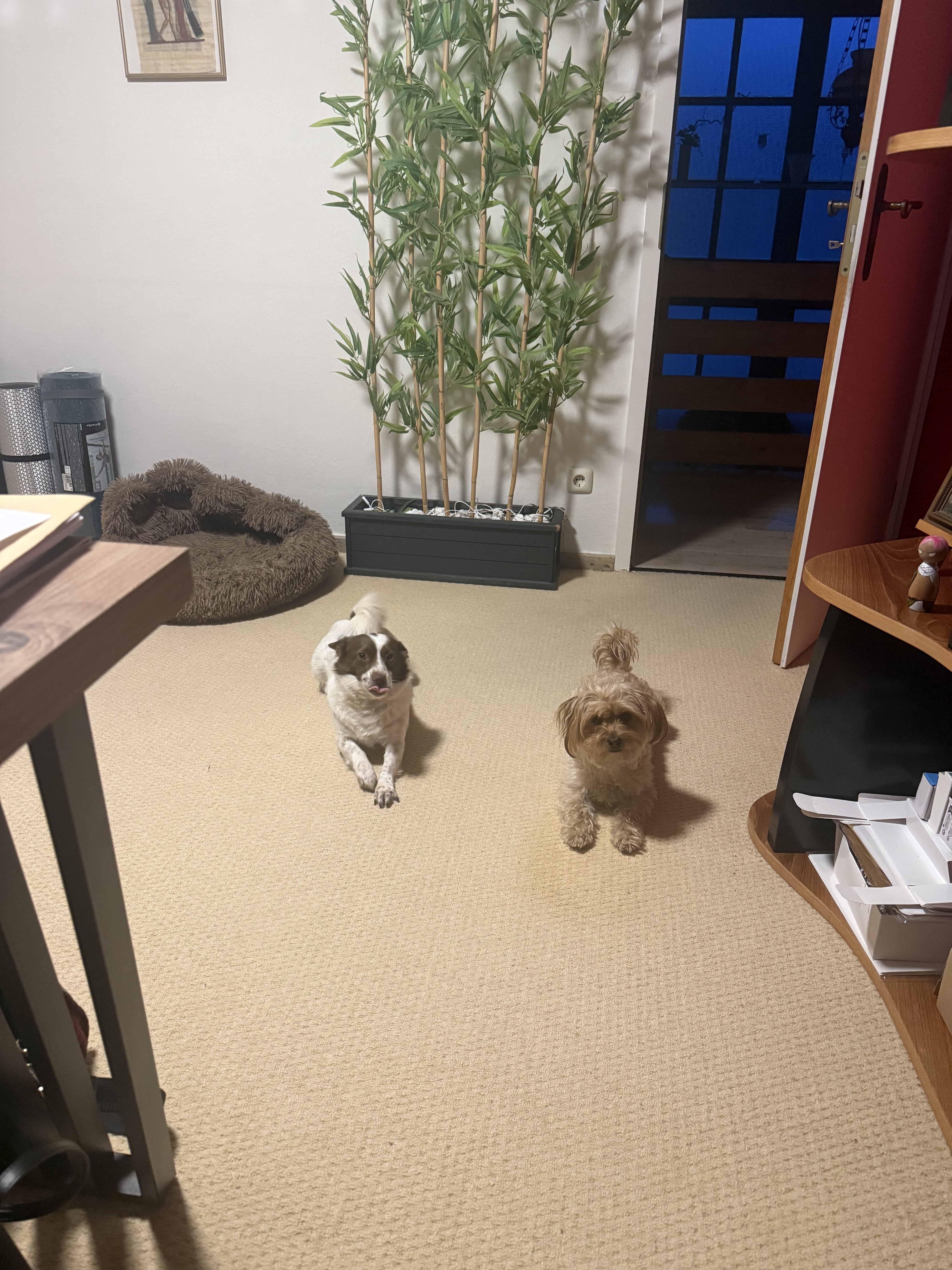 image-12