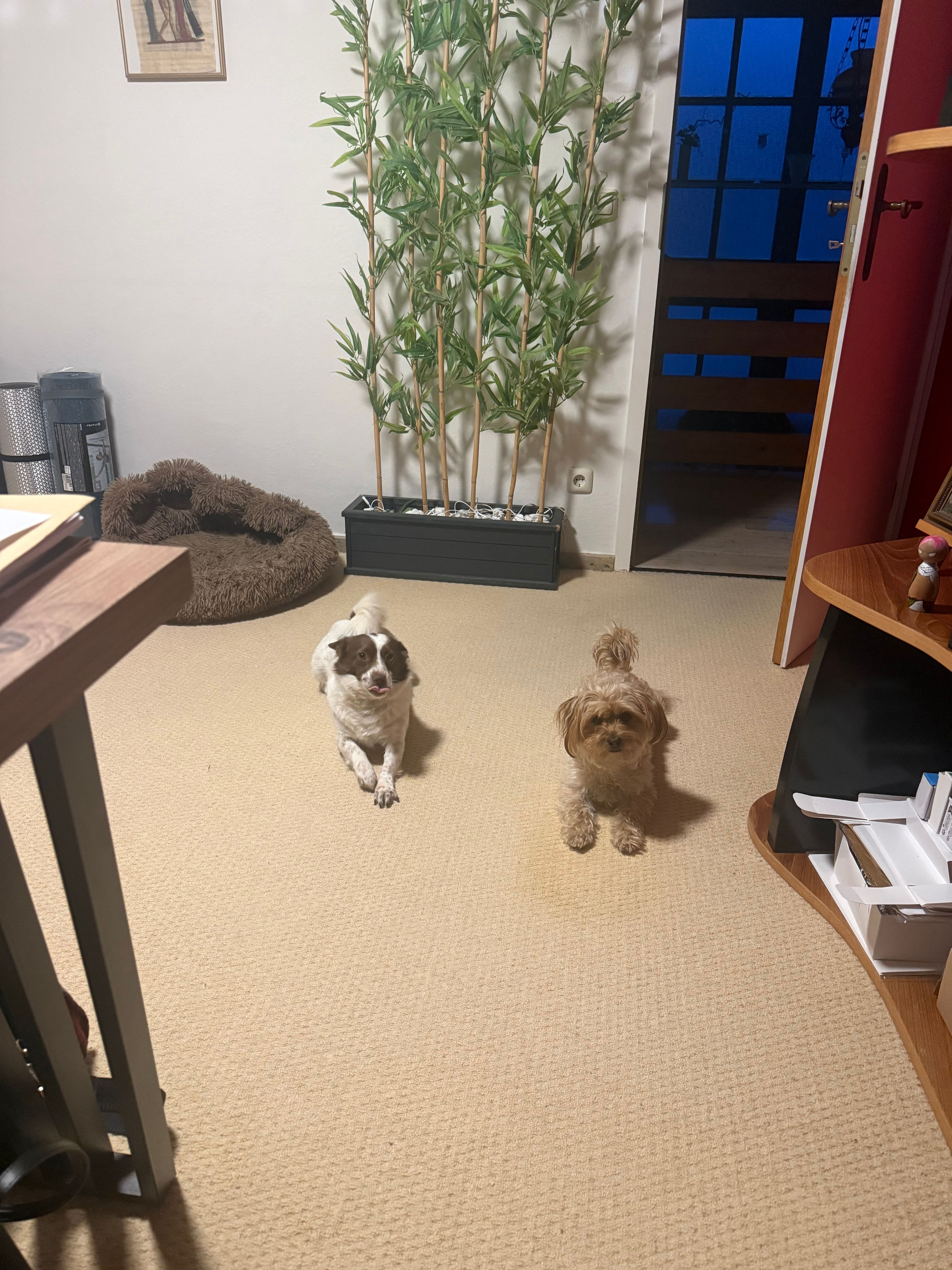 image-12
