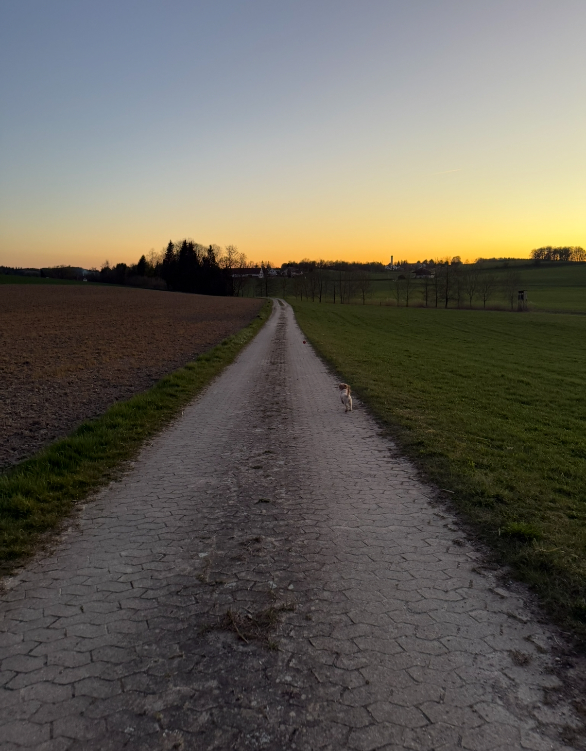 image-16