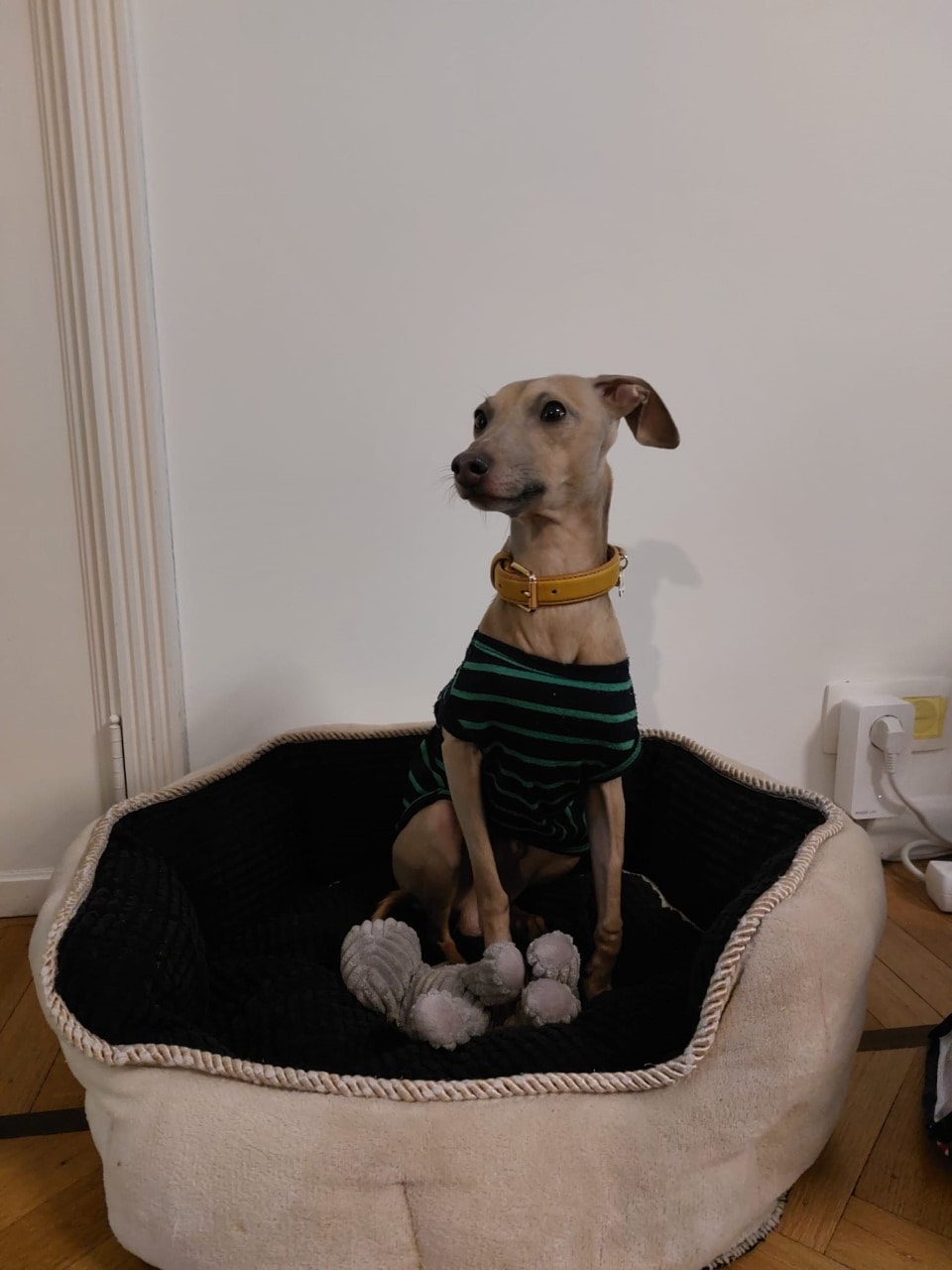 image-16