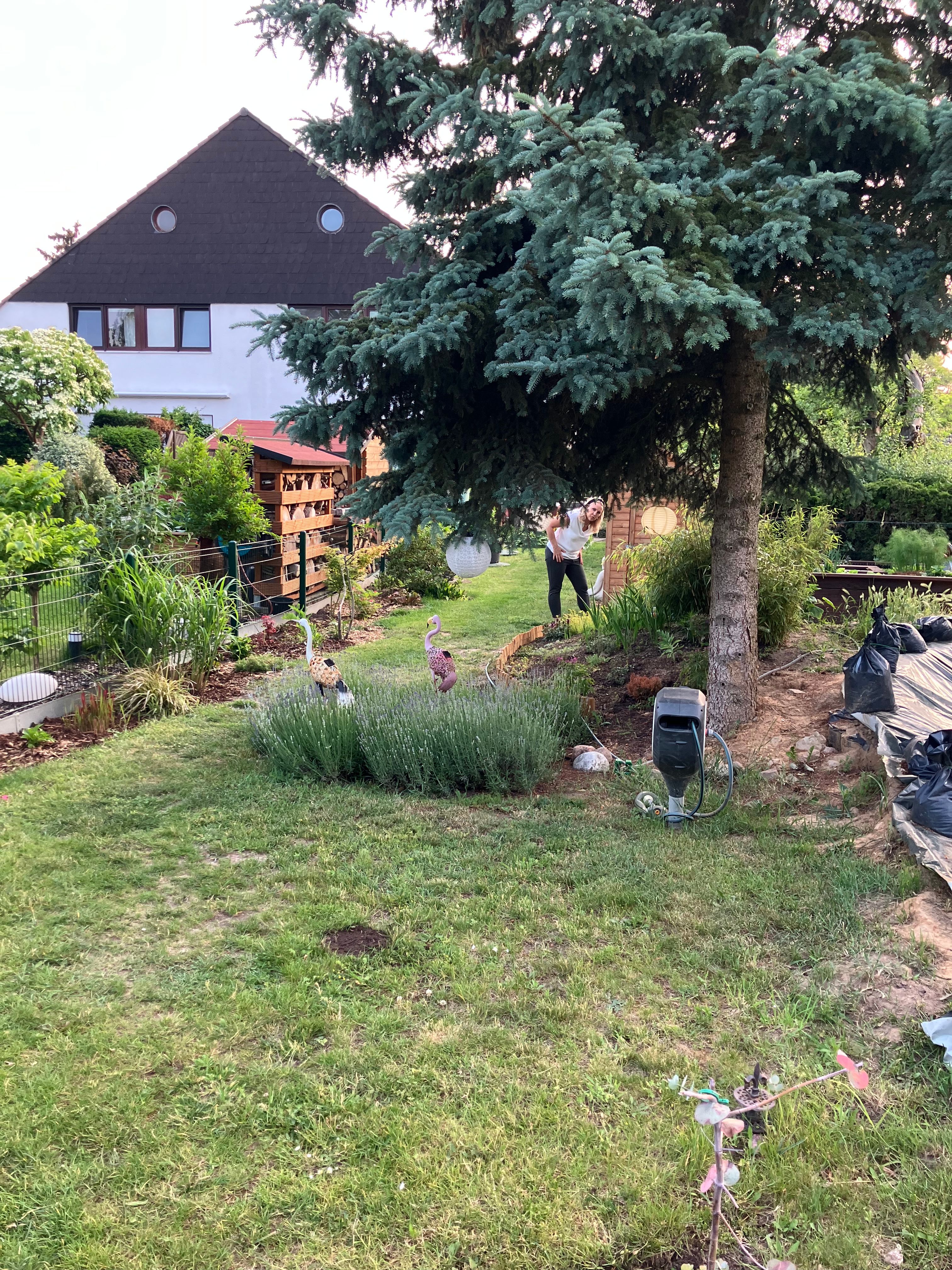 image-11