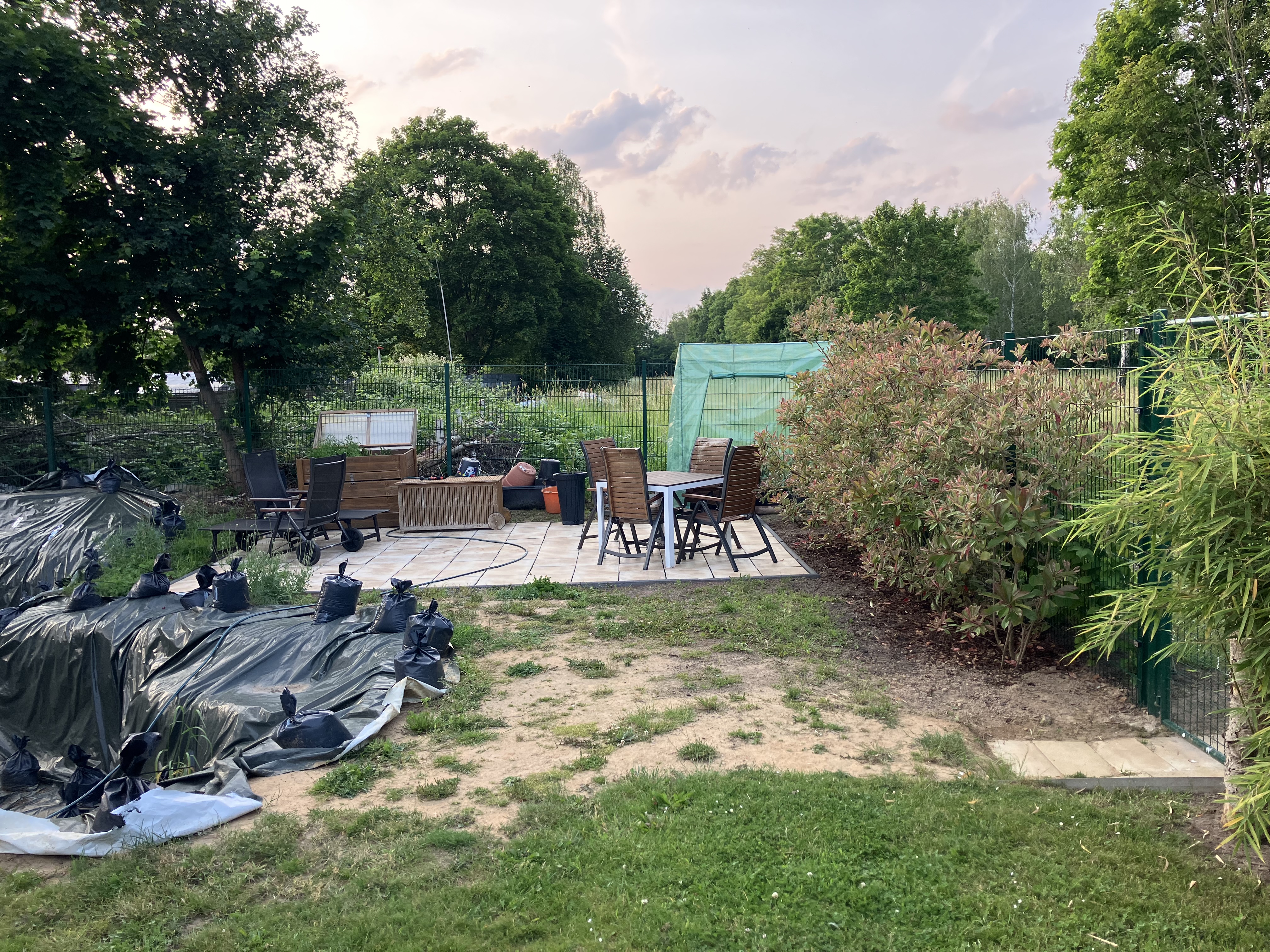 image-13