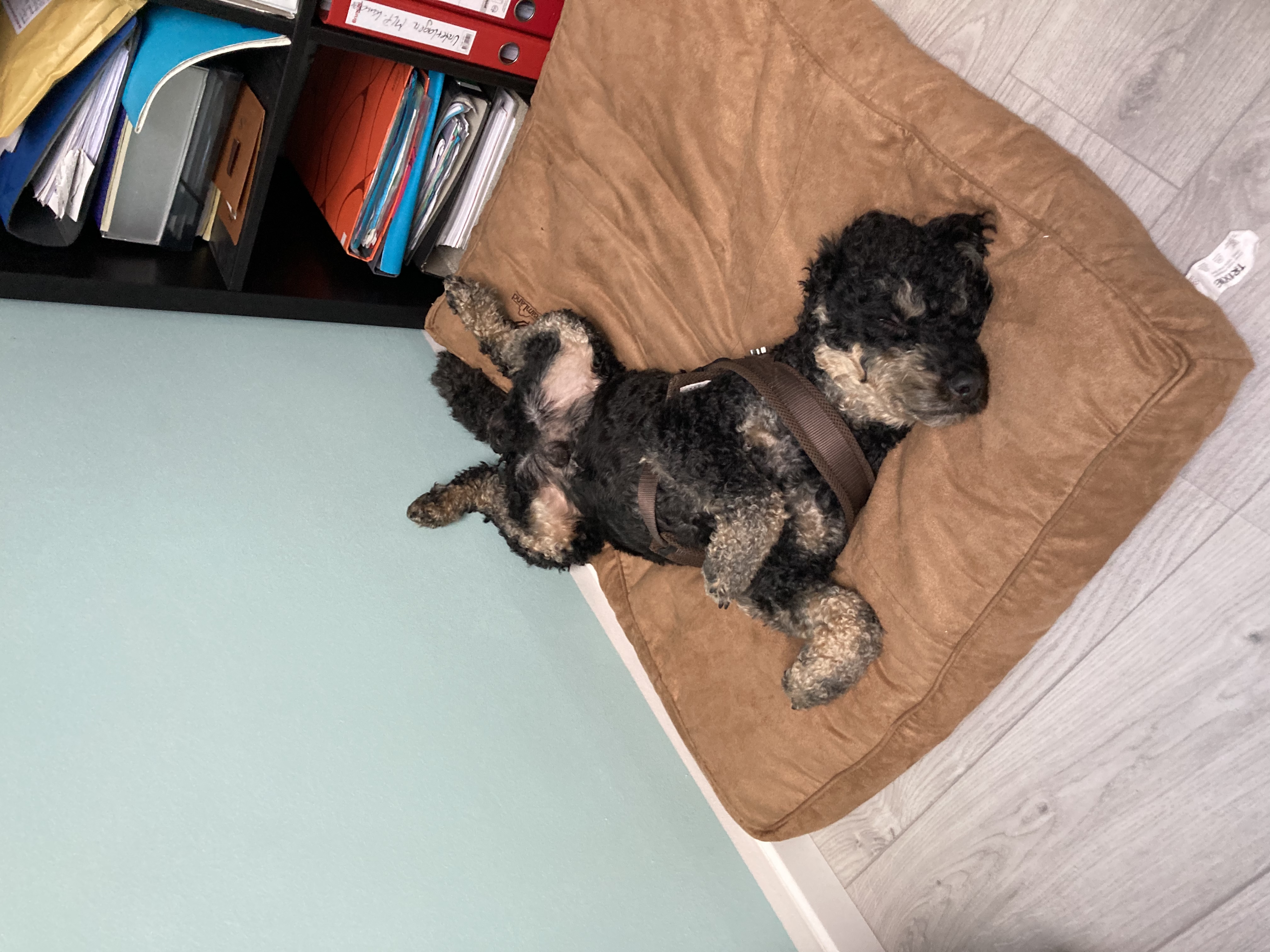 image-6