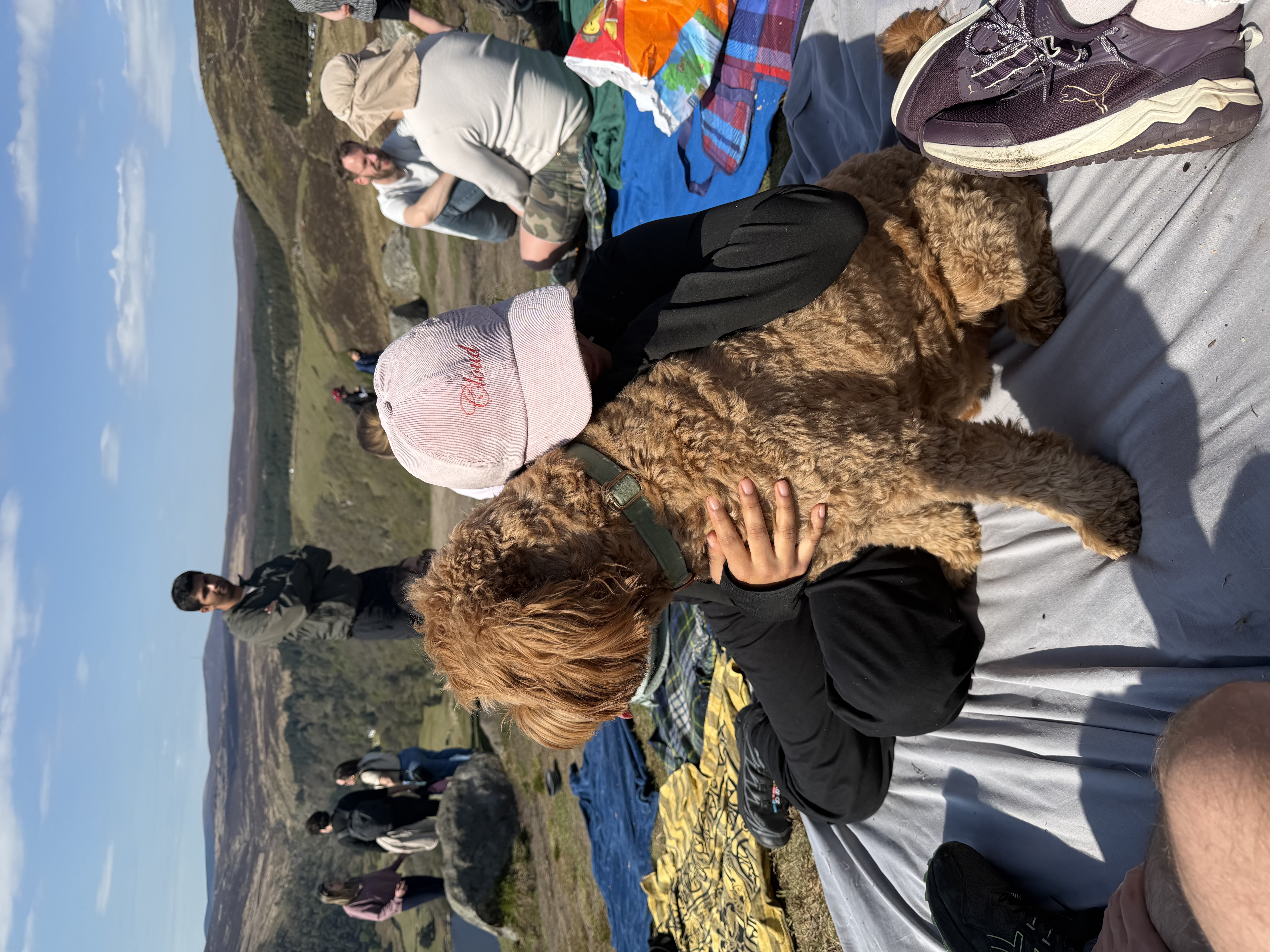 image-5