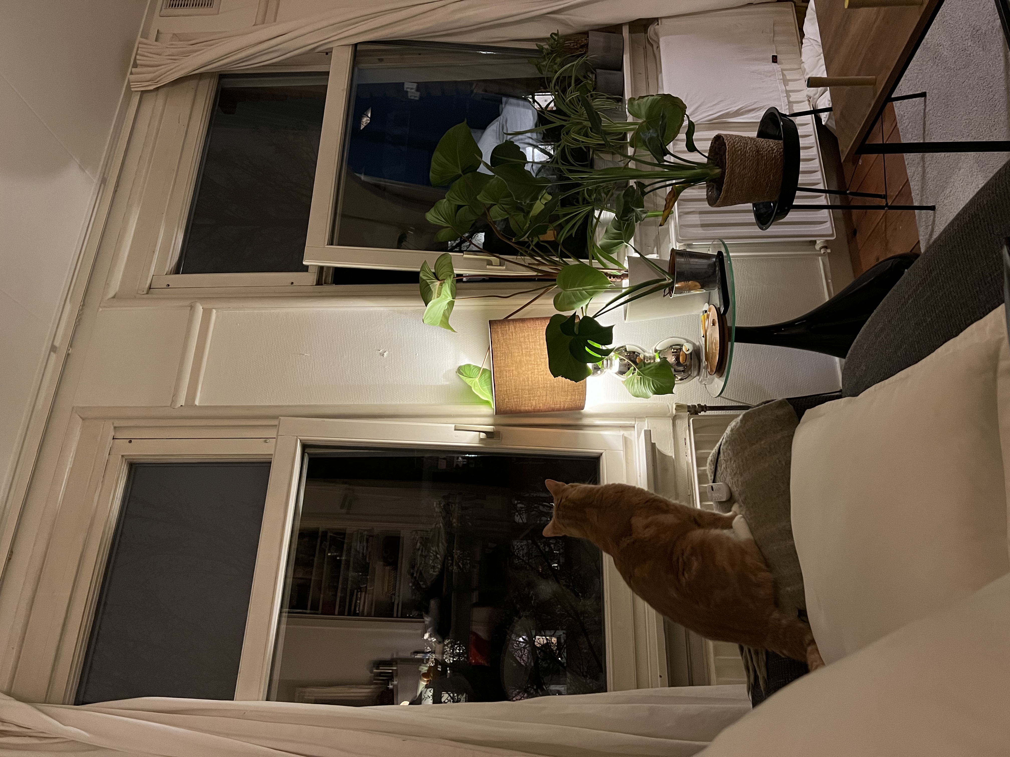 image-19