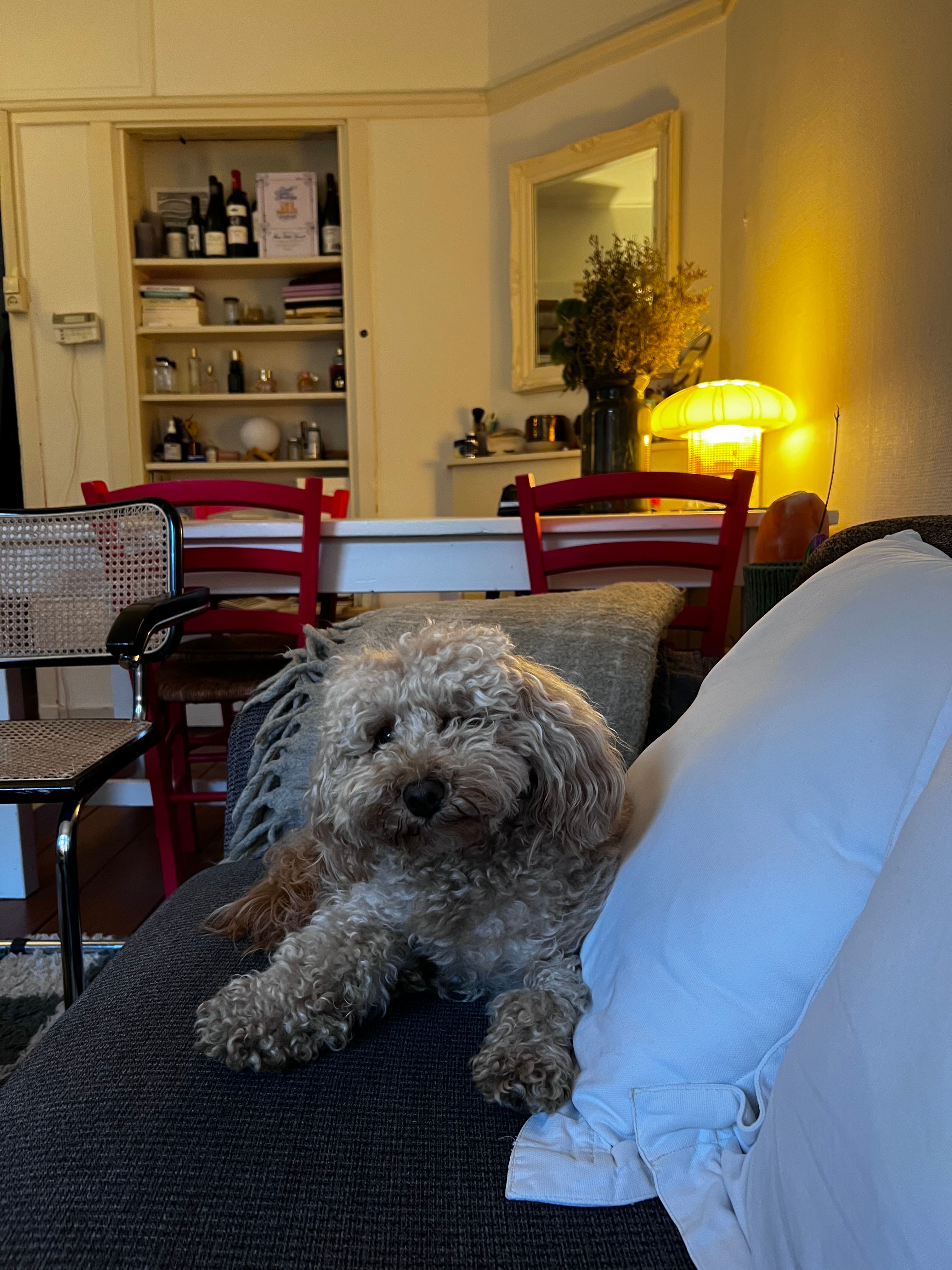 image-12