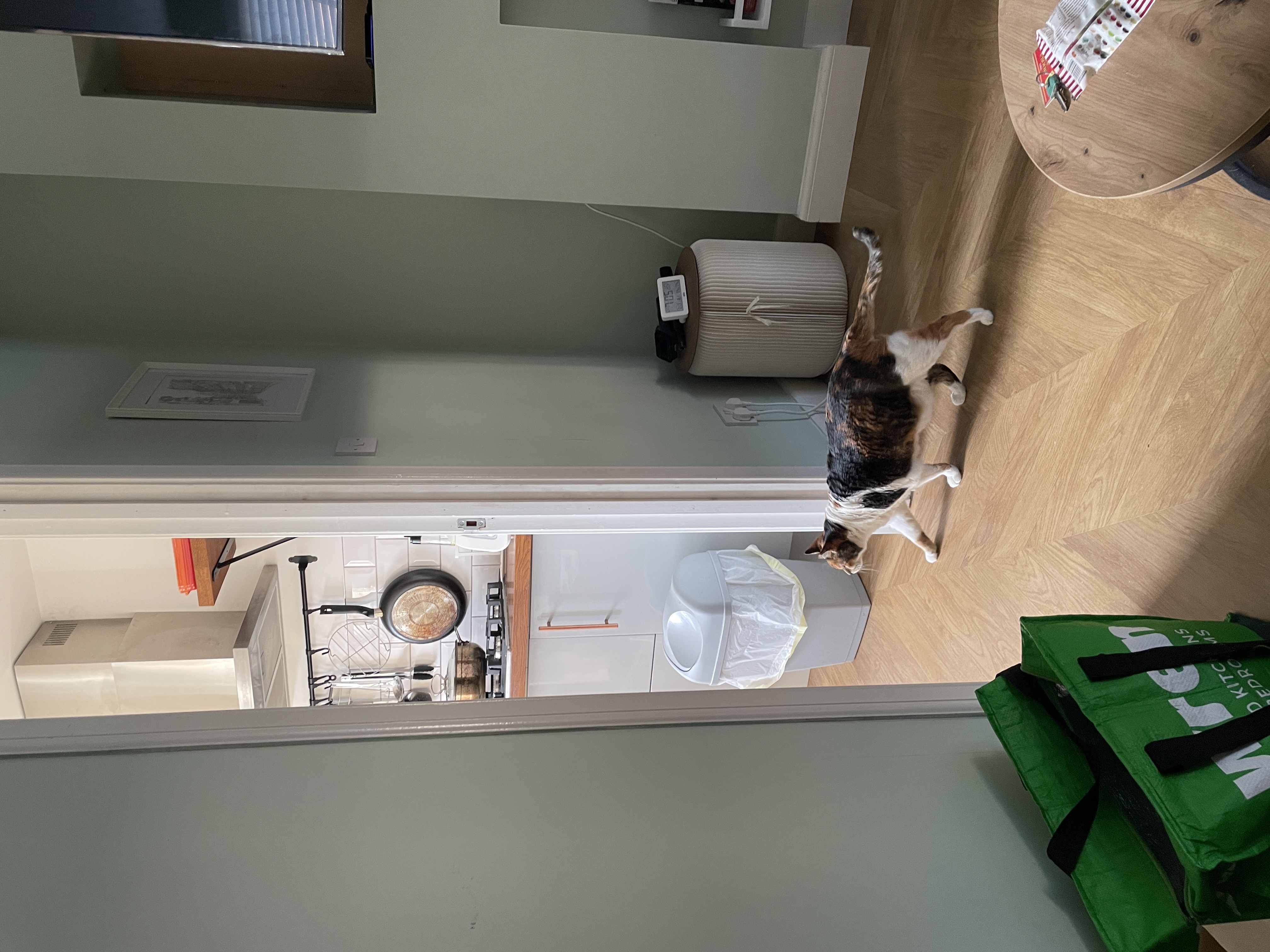 image-12