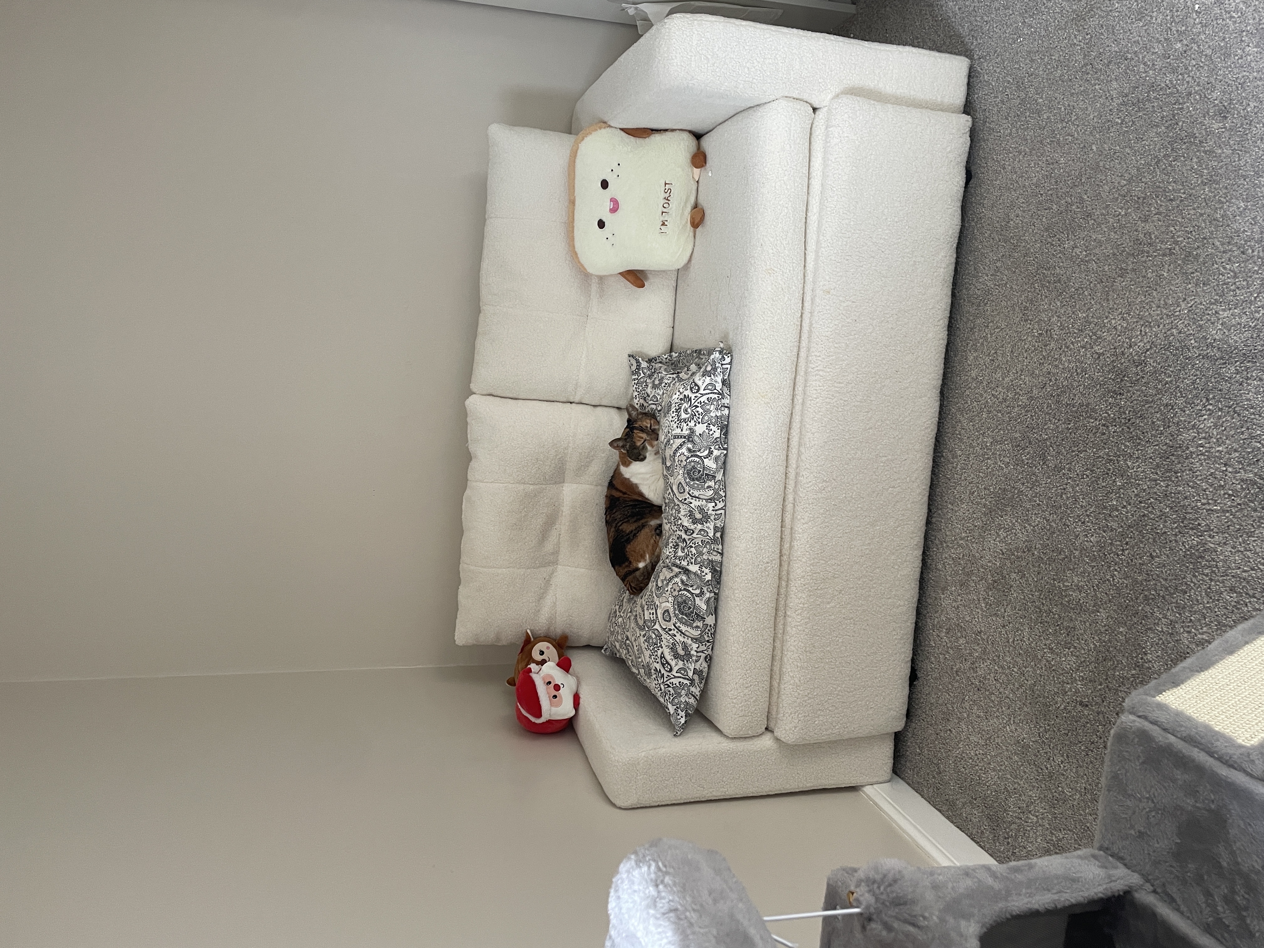 image-13