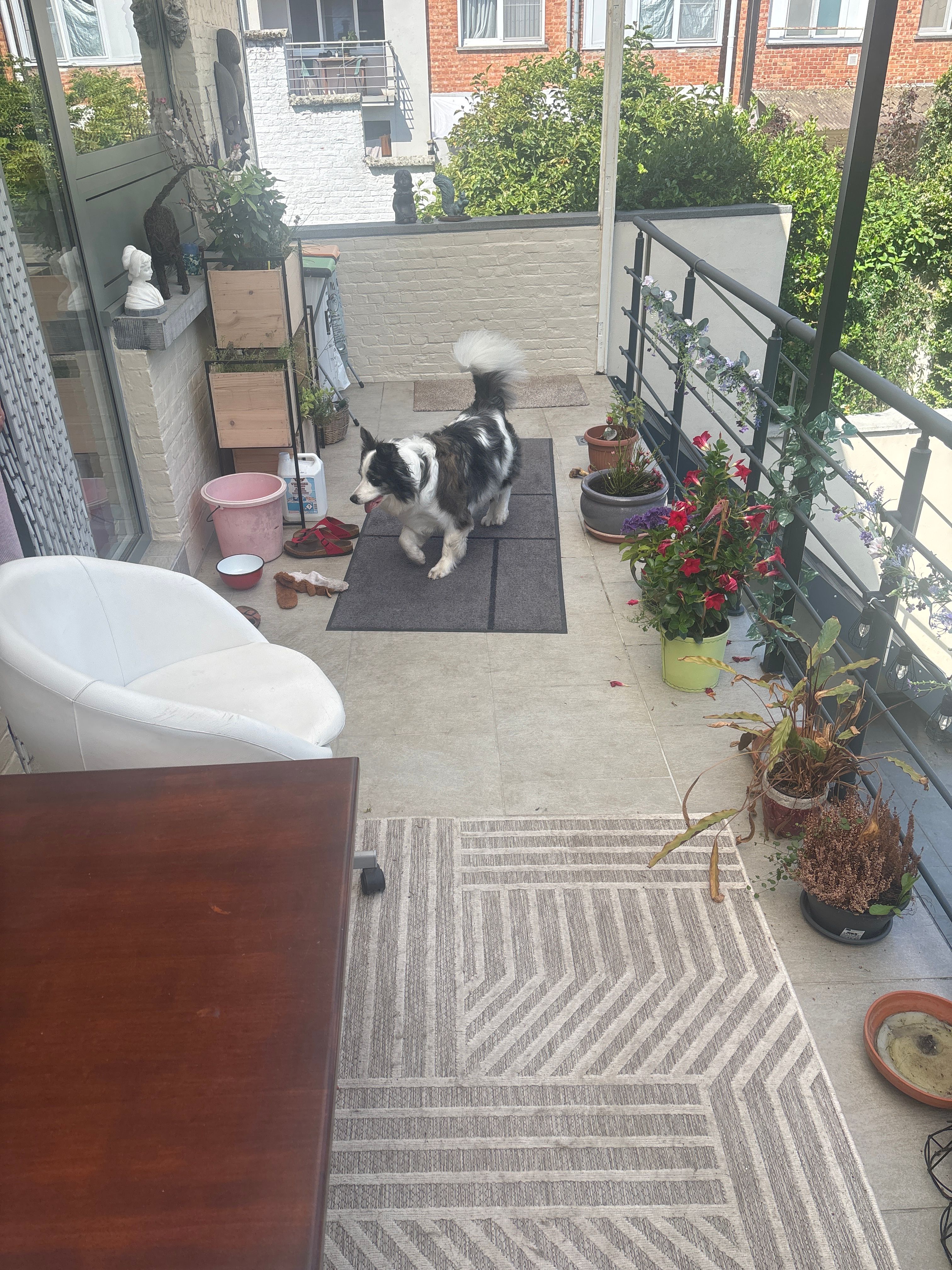 image-13
