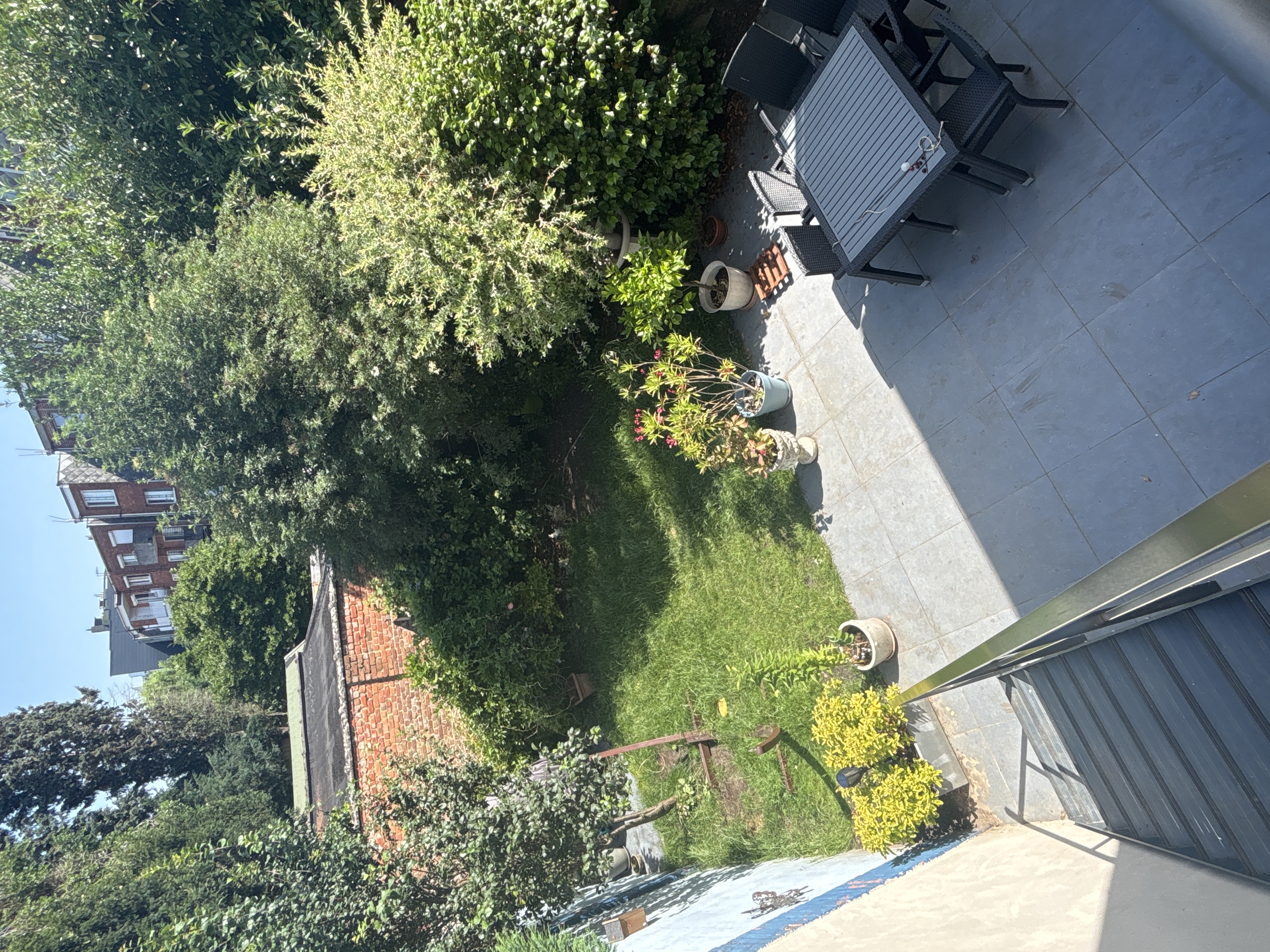 image-15