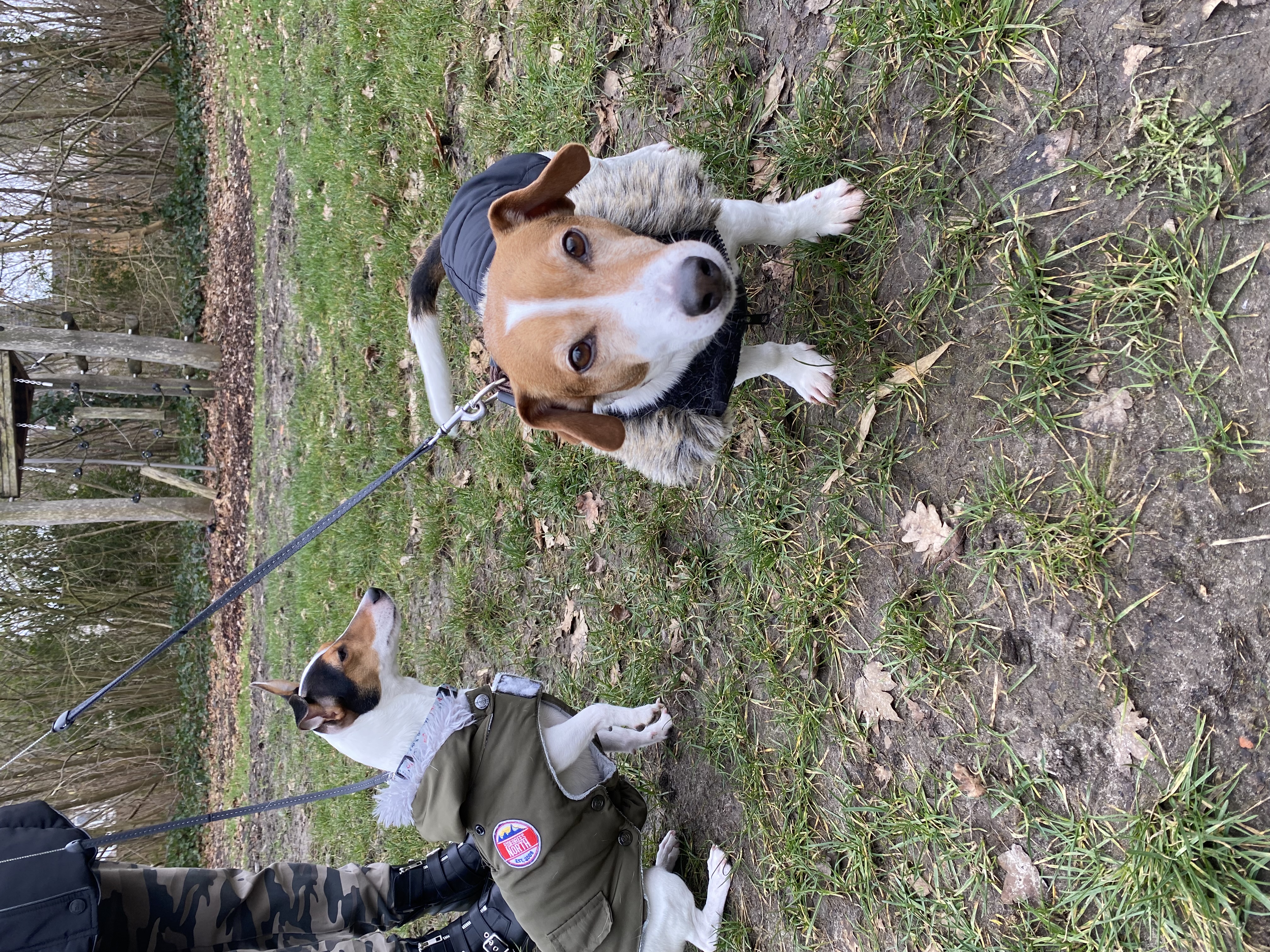 image-7