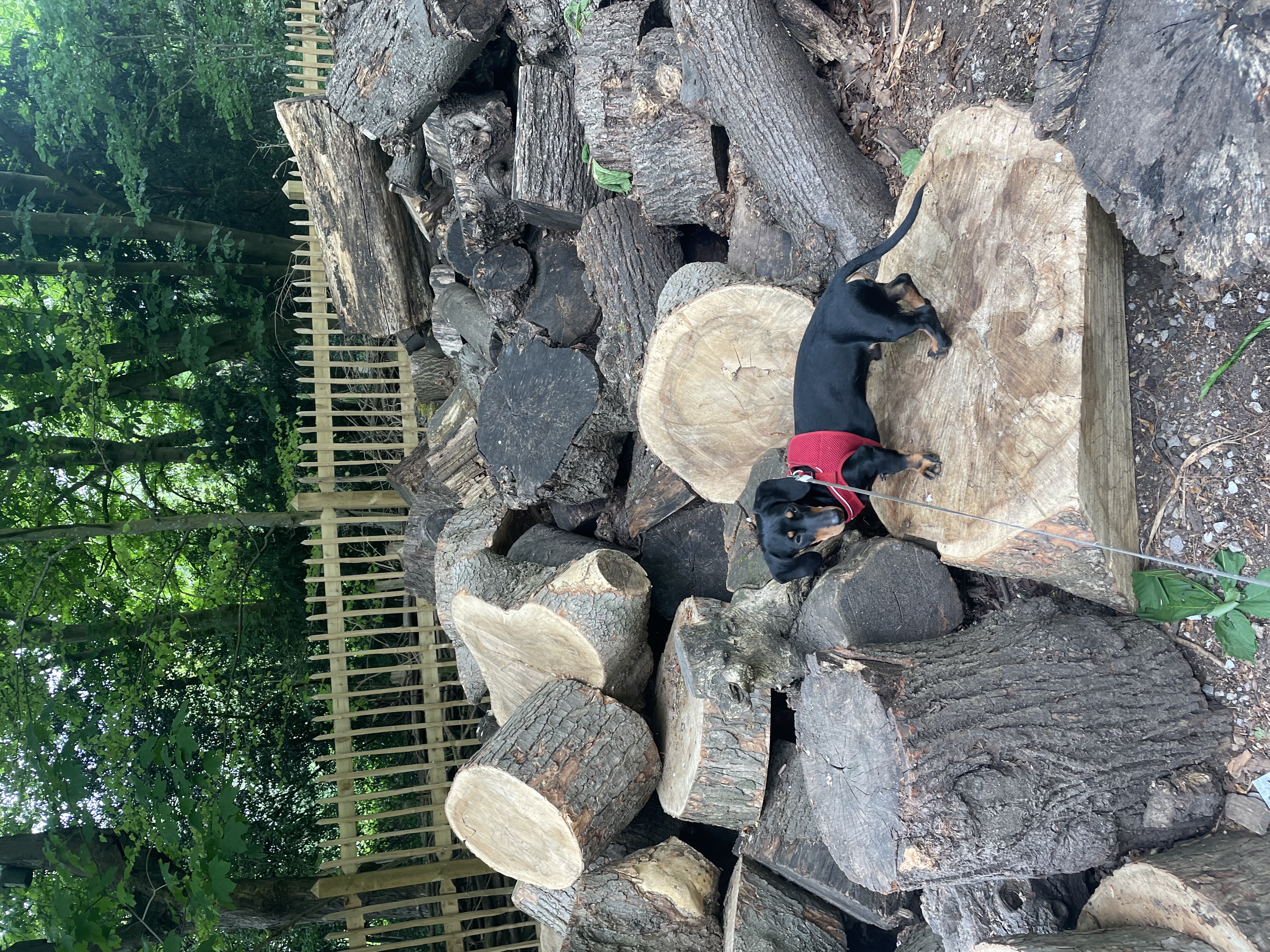 image-8