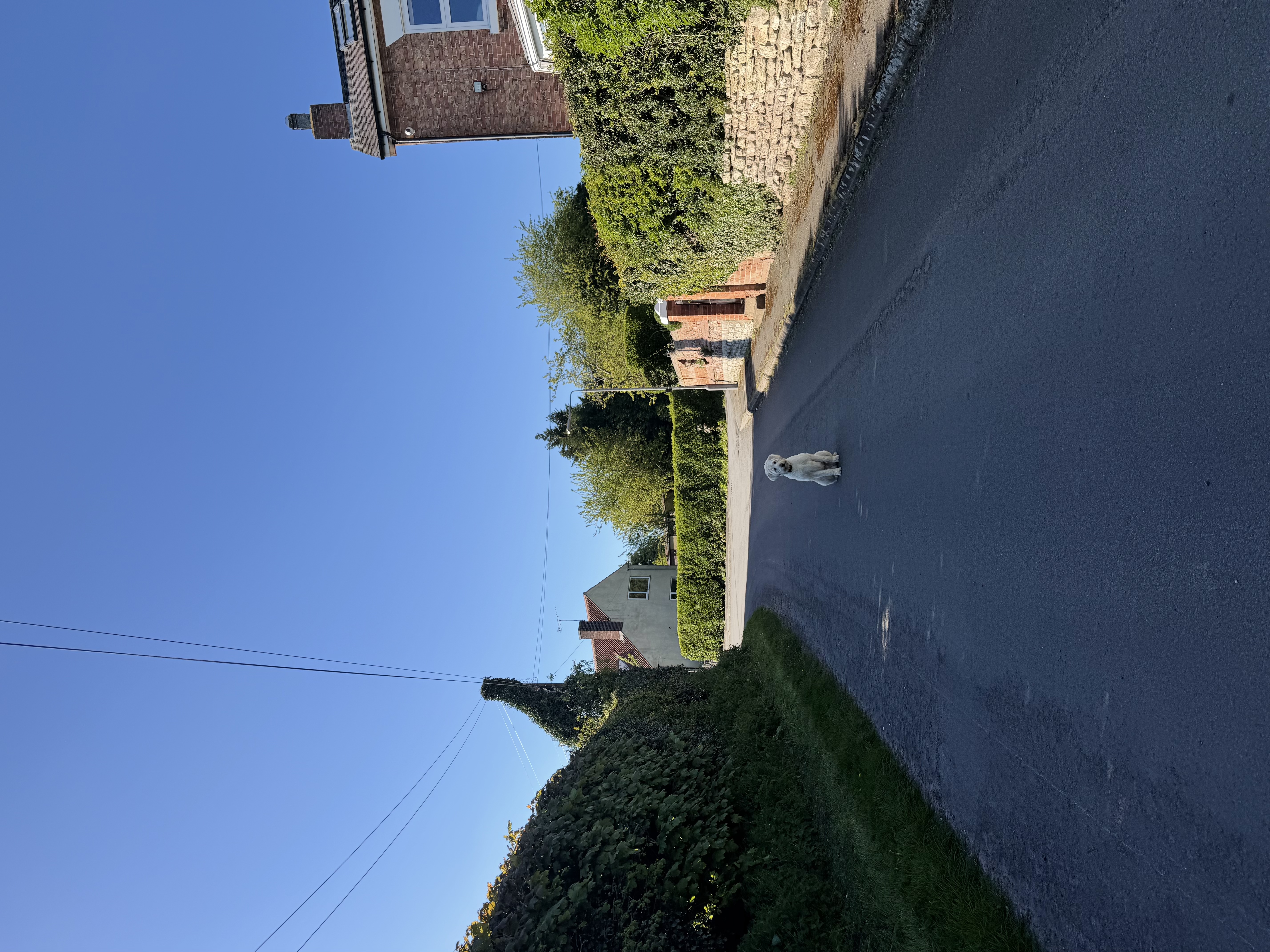 image-16