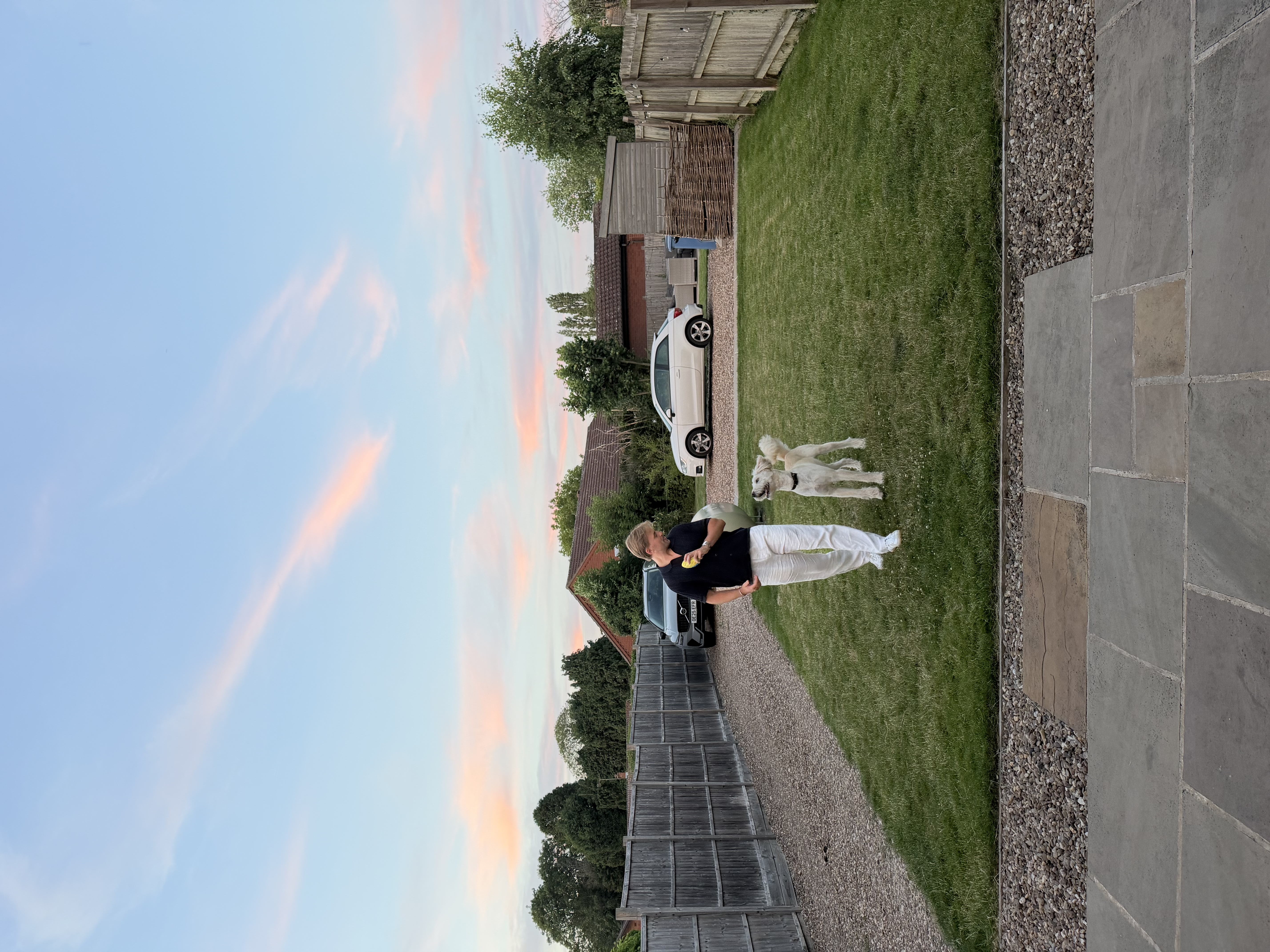 image-14