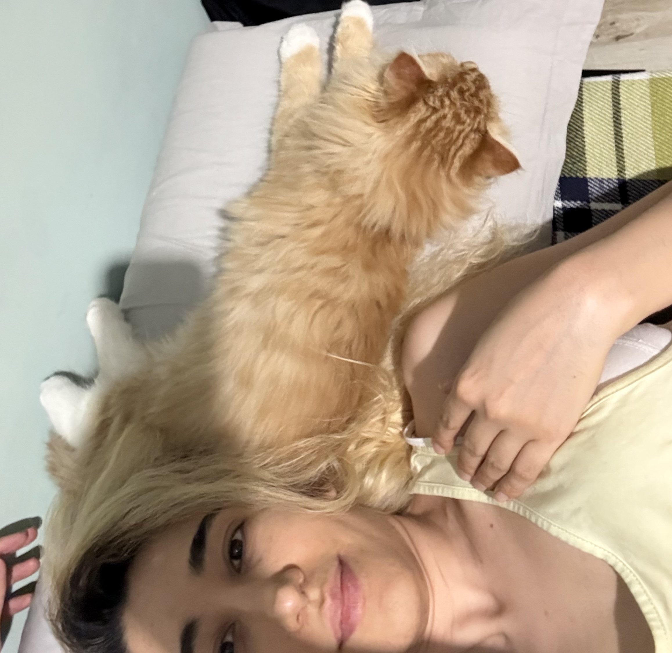 image-7