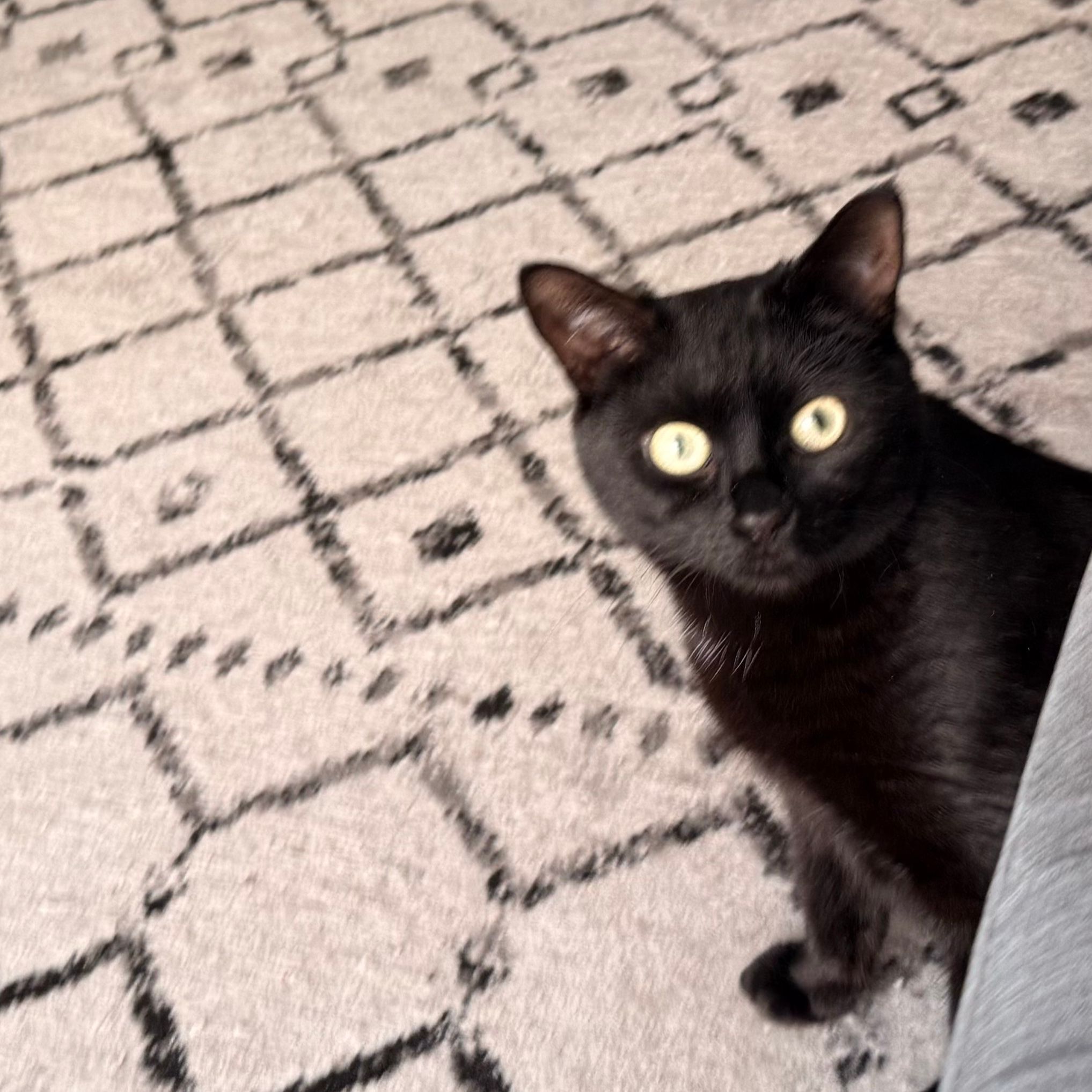 Pepper