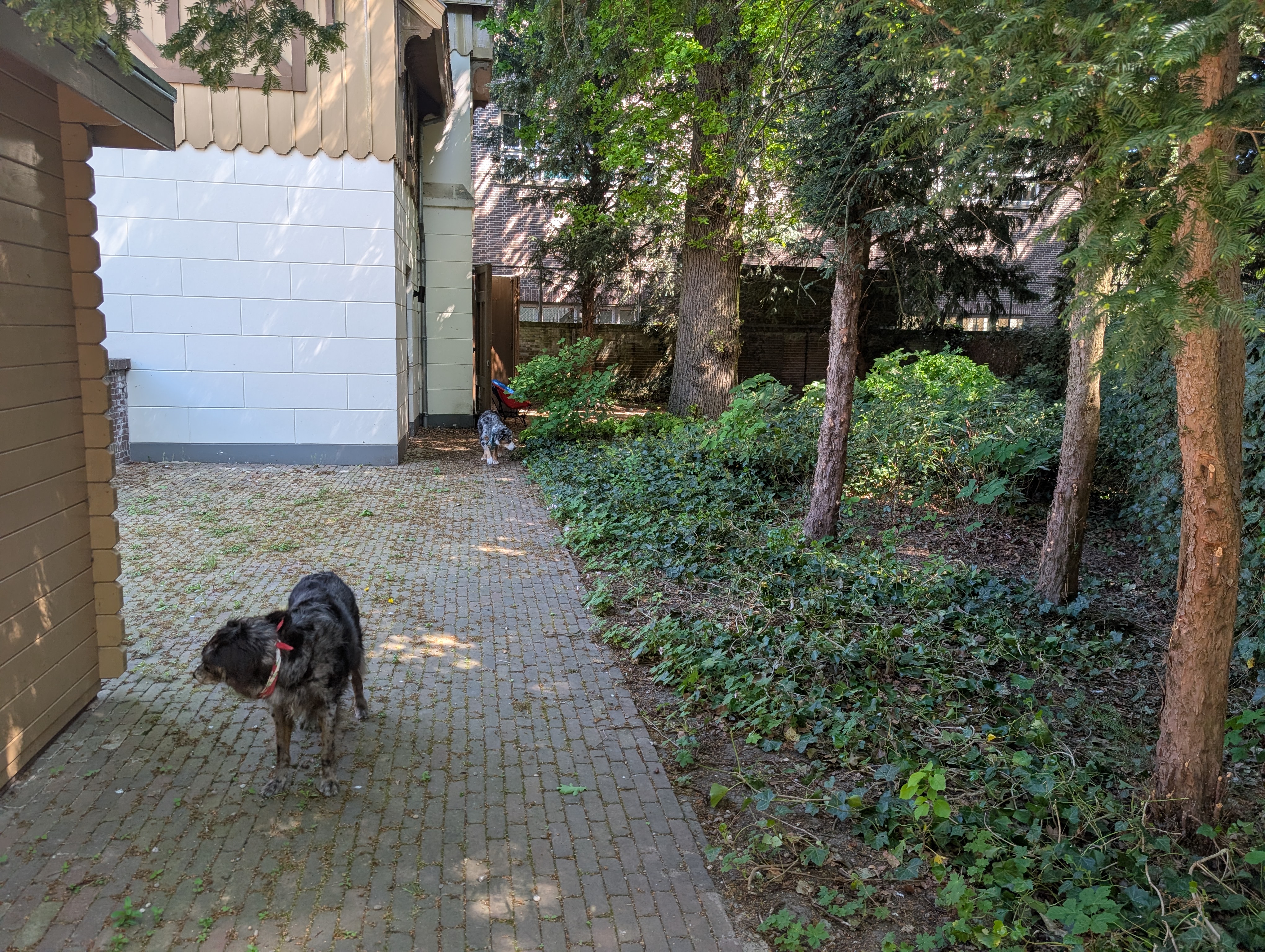 image-12