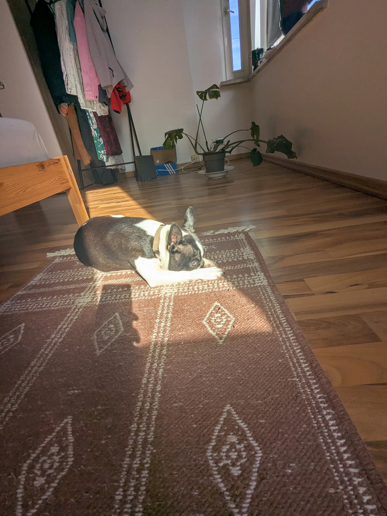 image-11