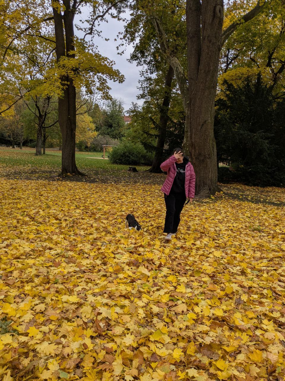 image-2