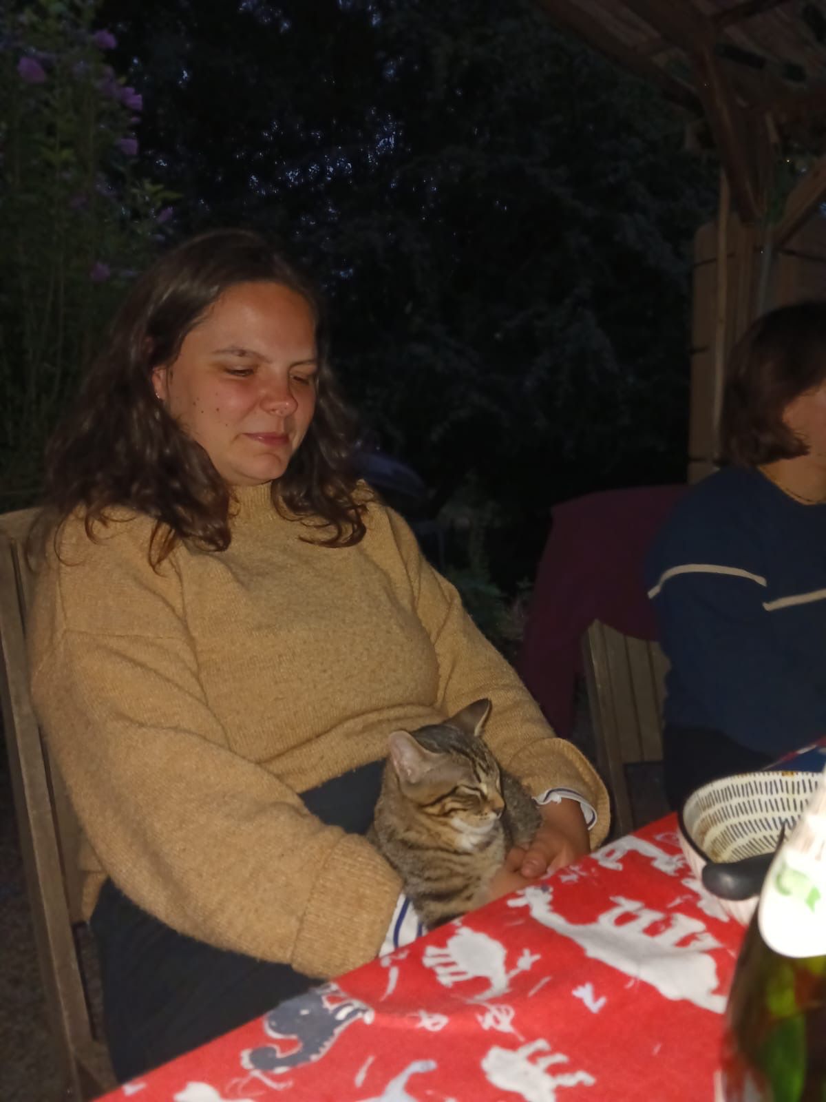 image-7
