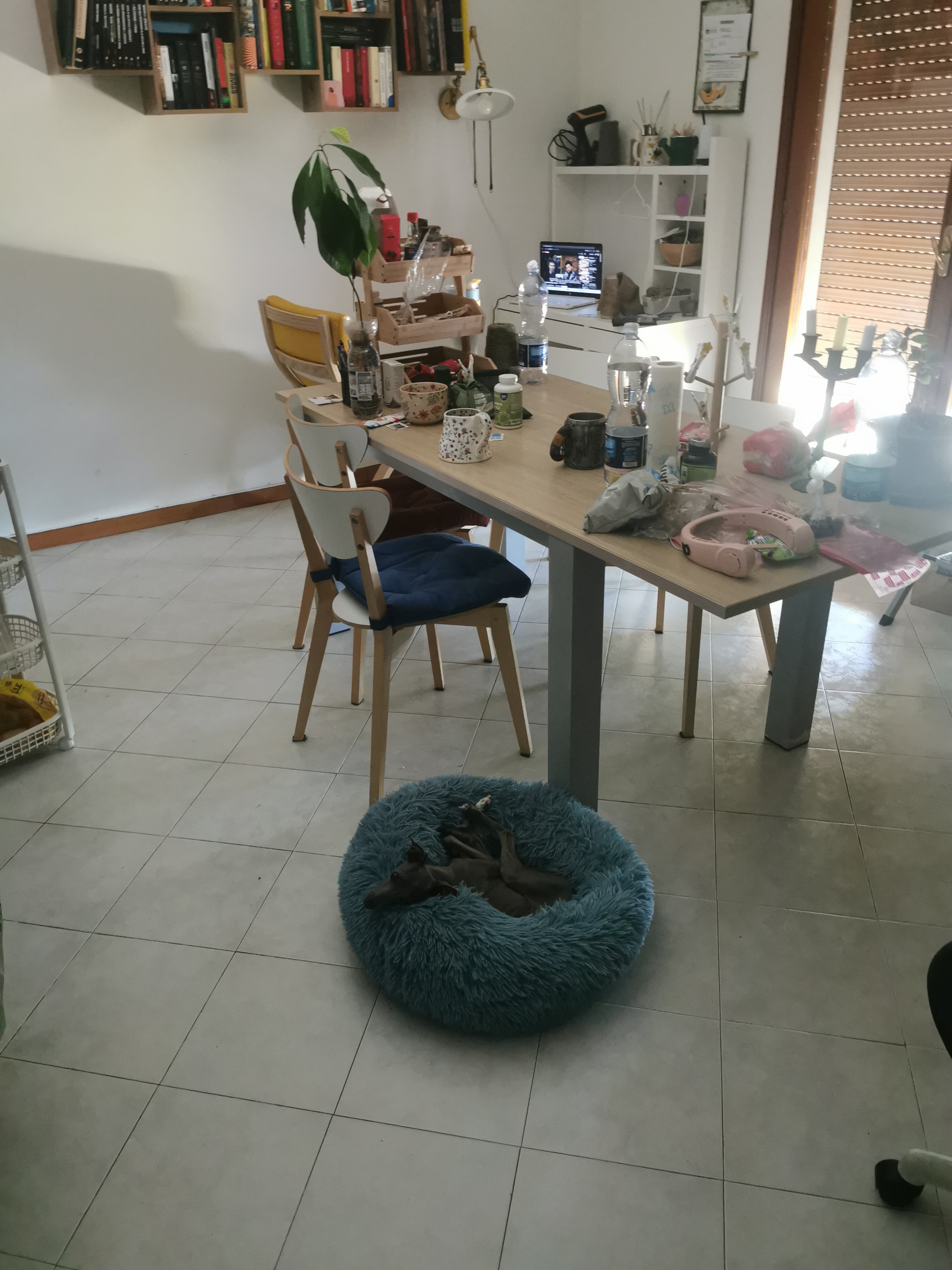 image-7
