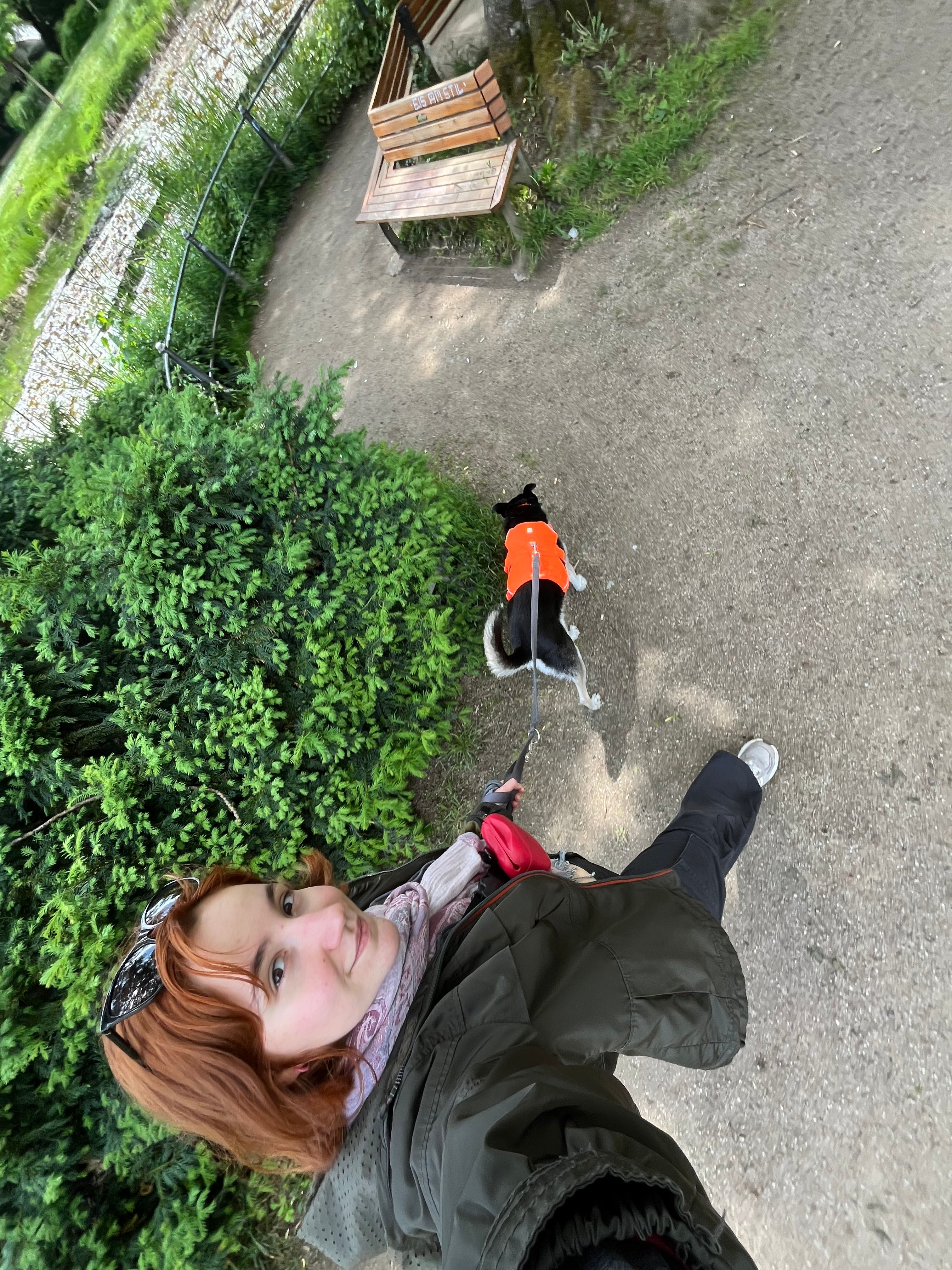image-8