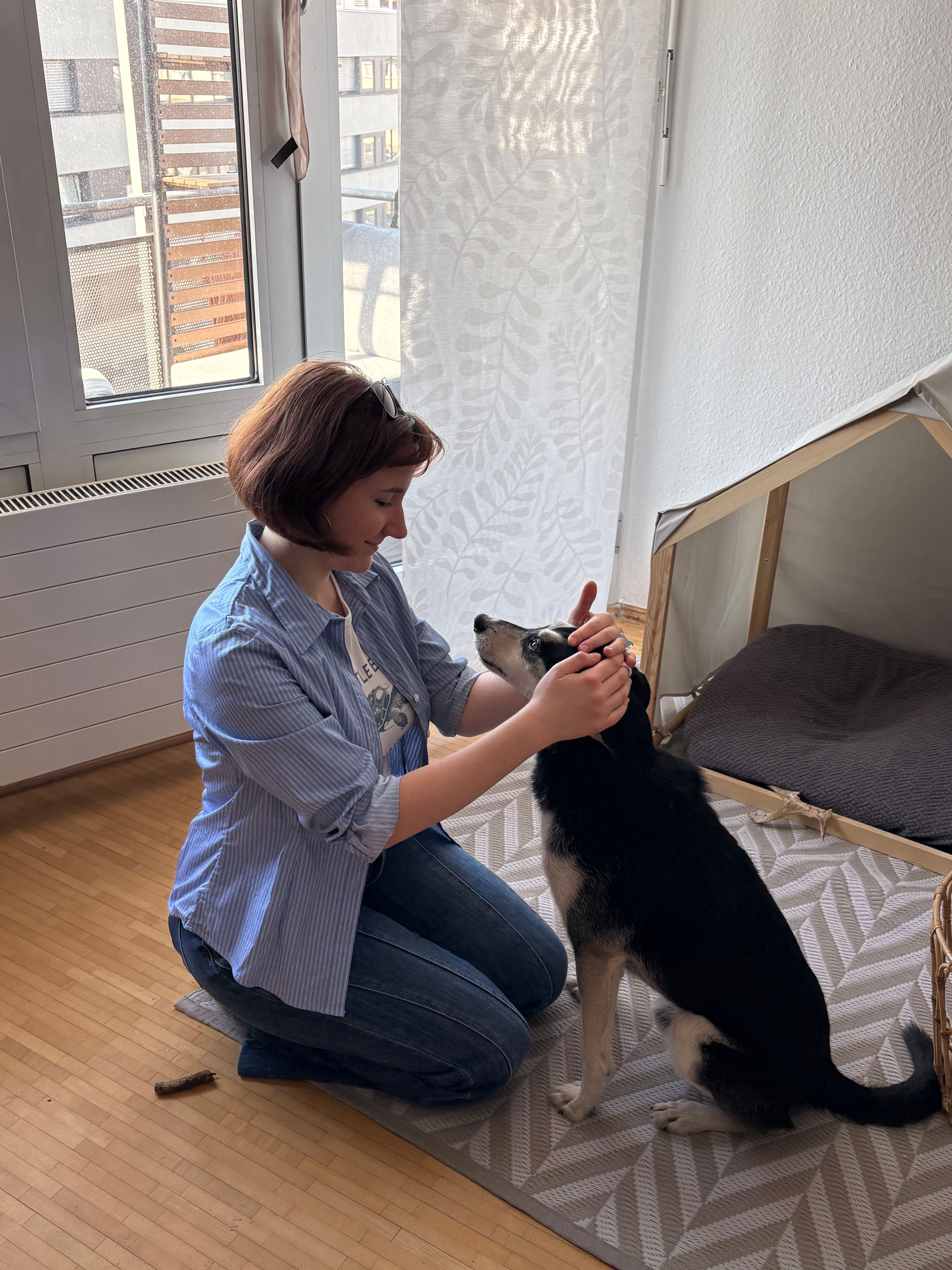 image-12