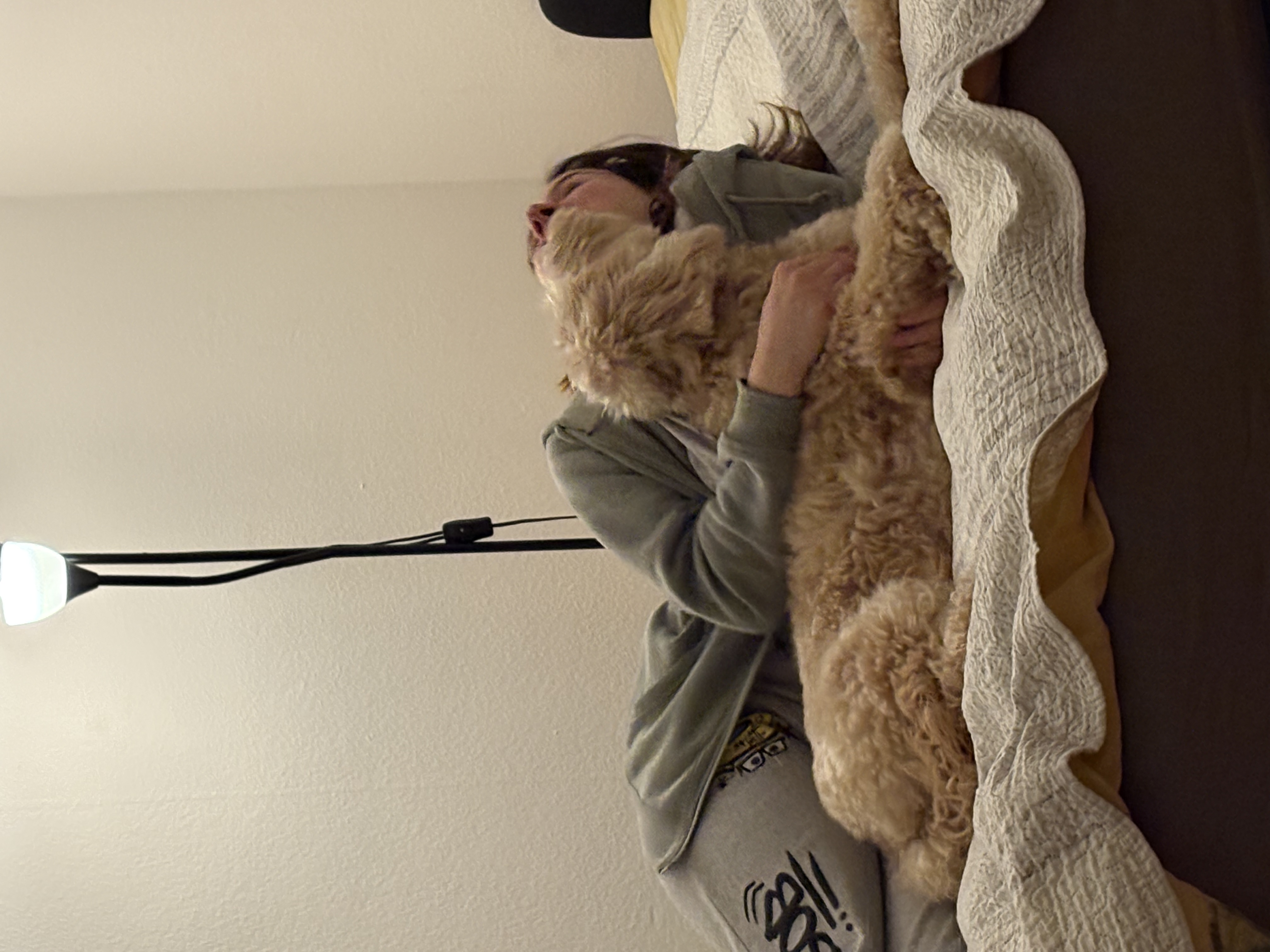image-11