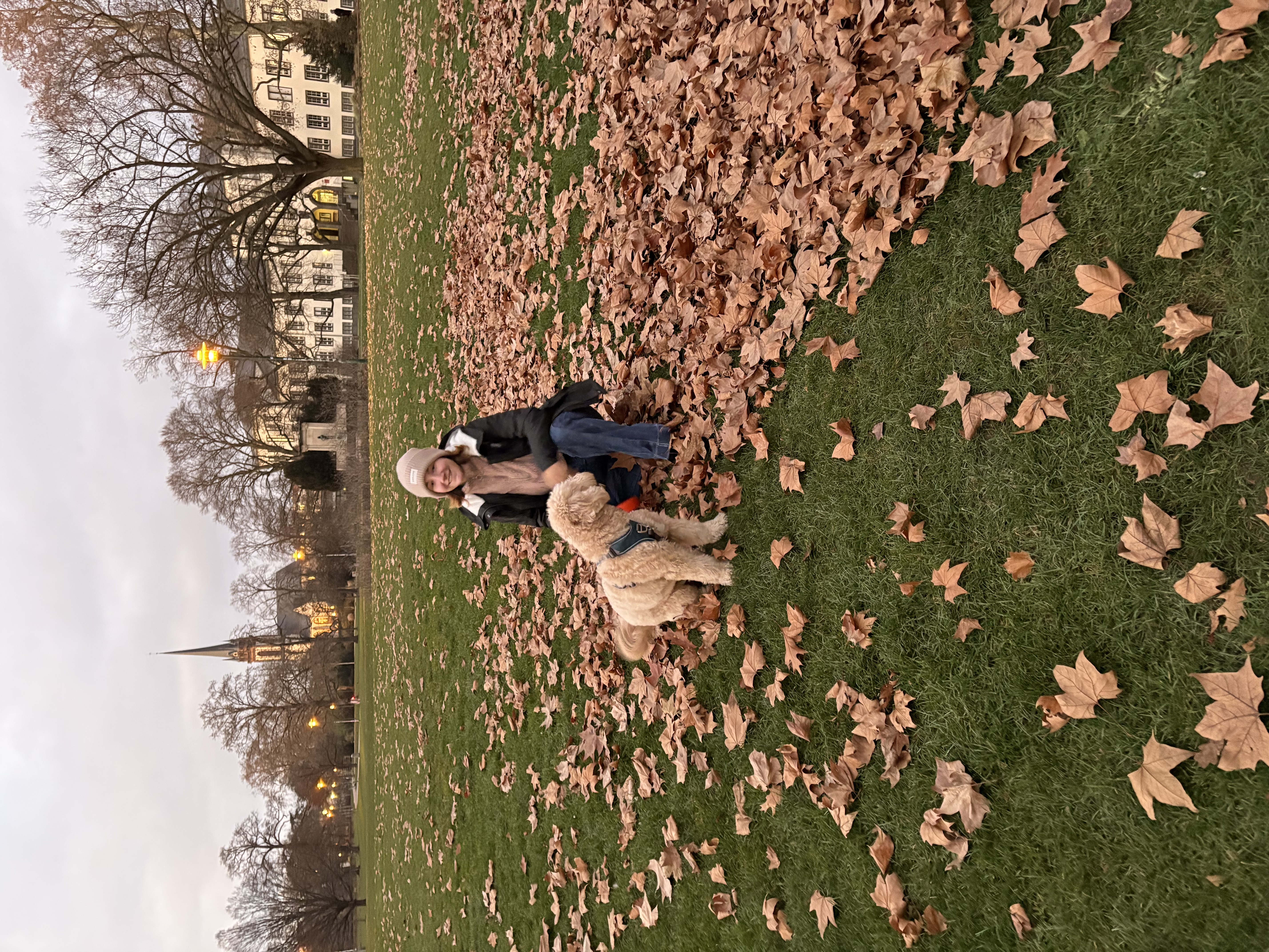 image-7