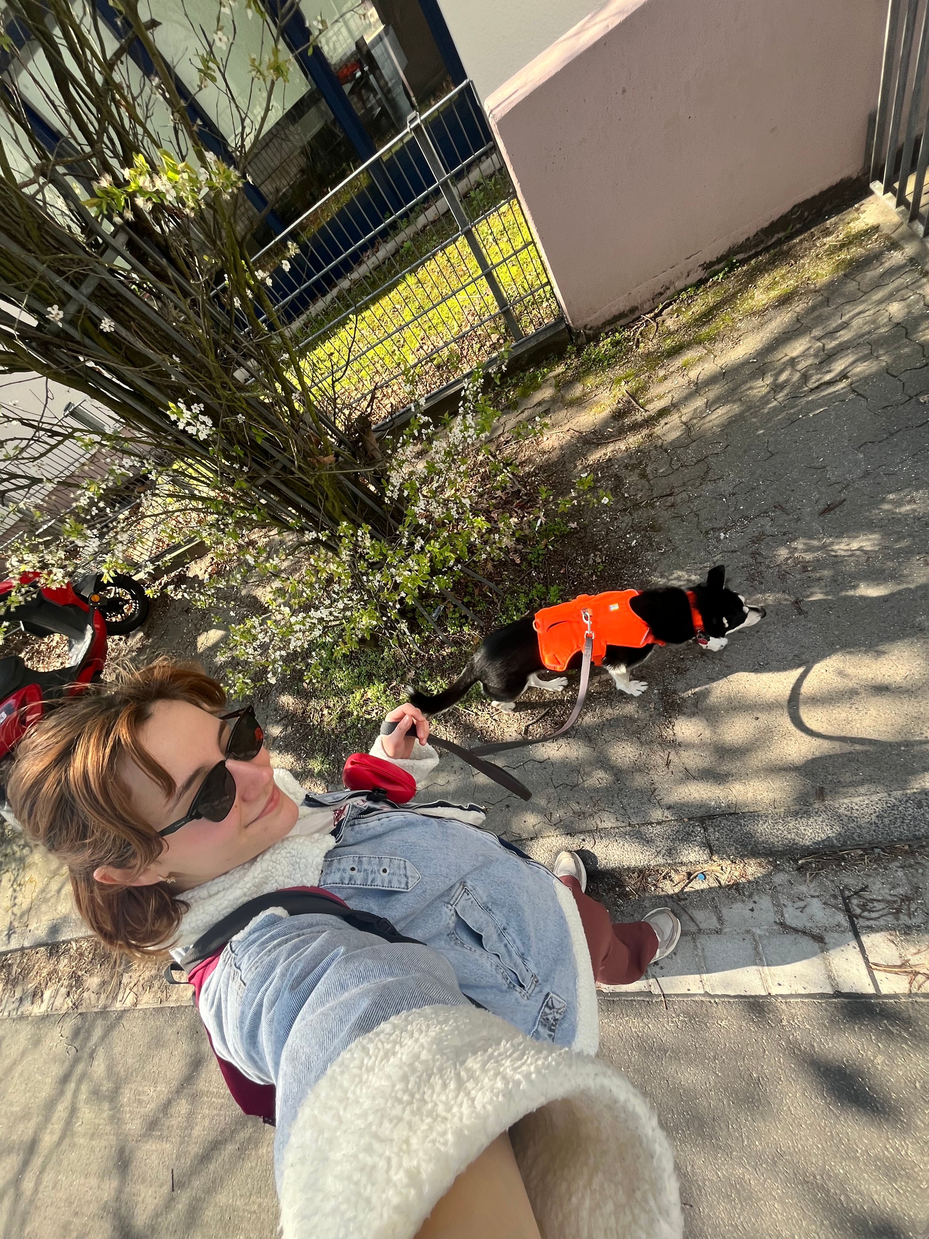 image-16