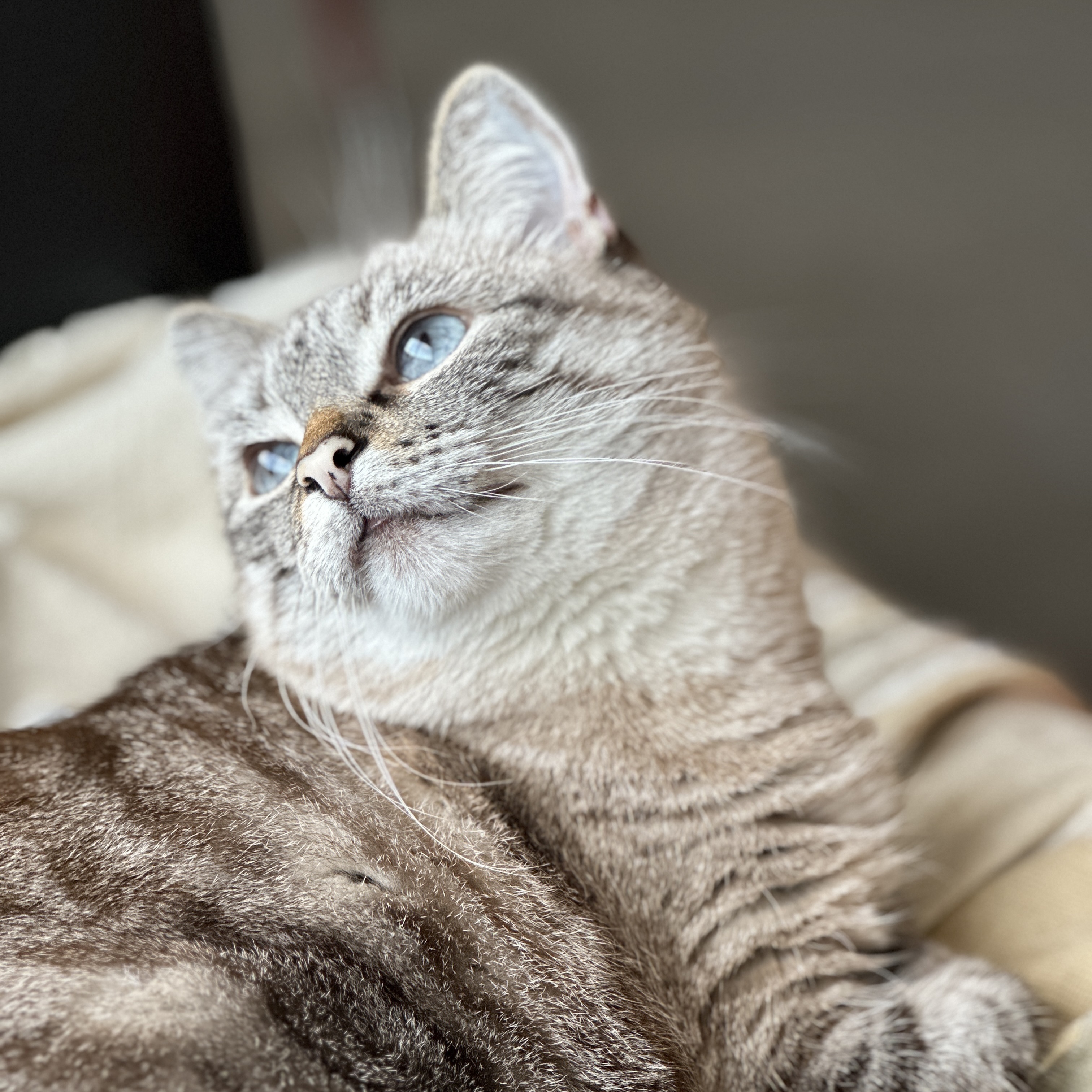 Luna 