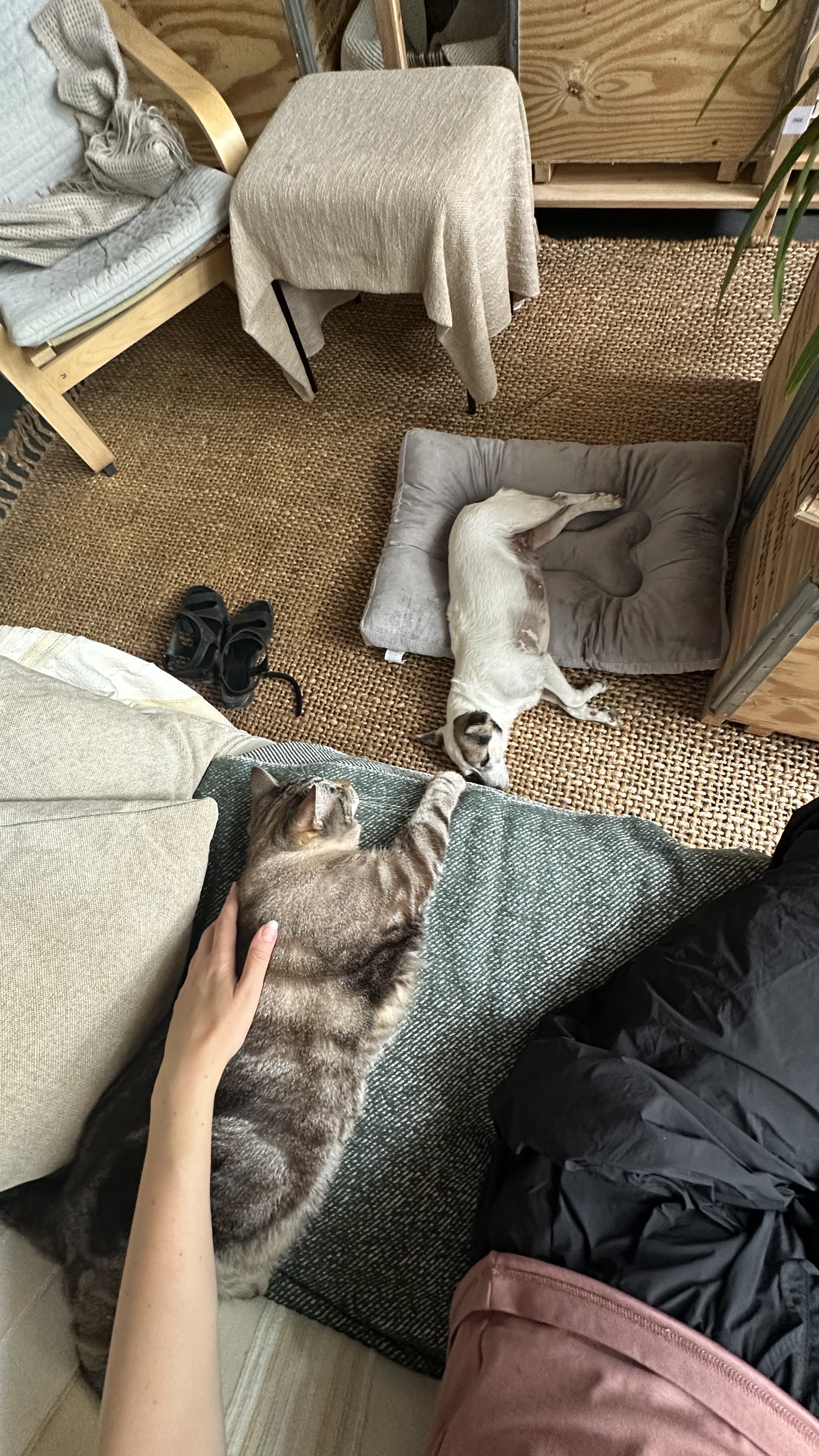 image-8