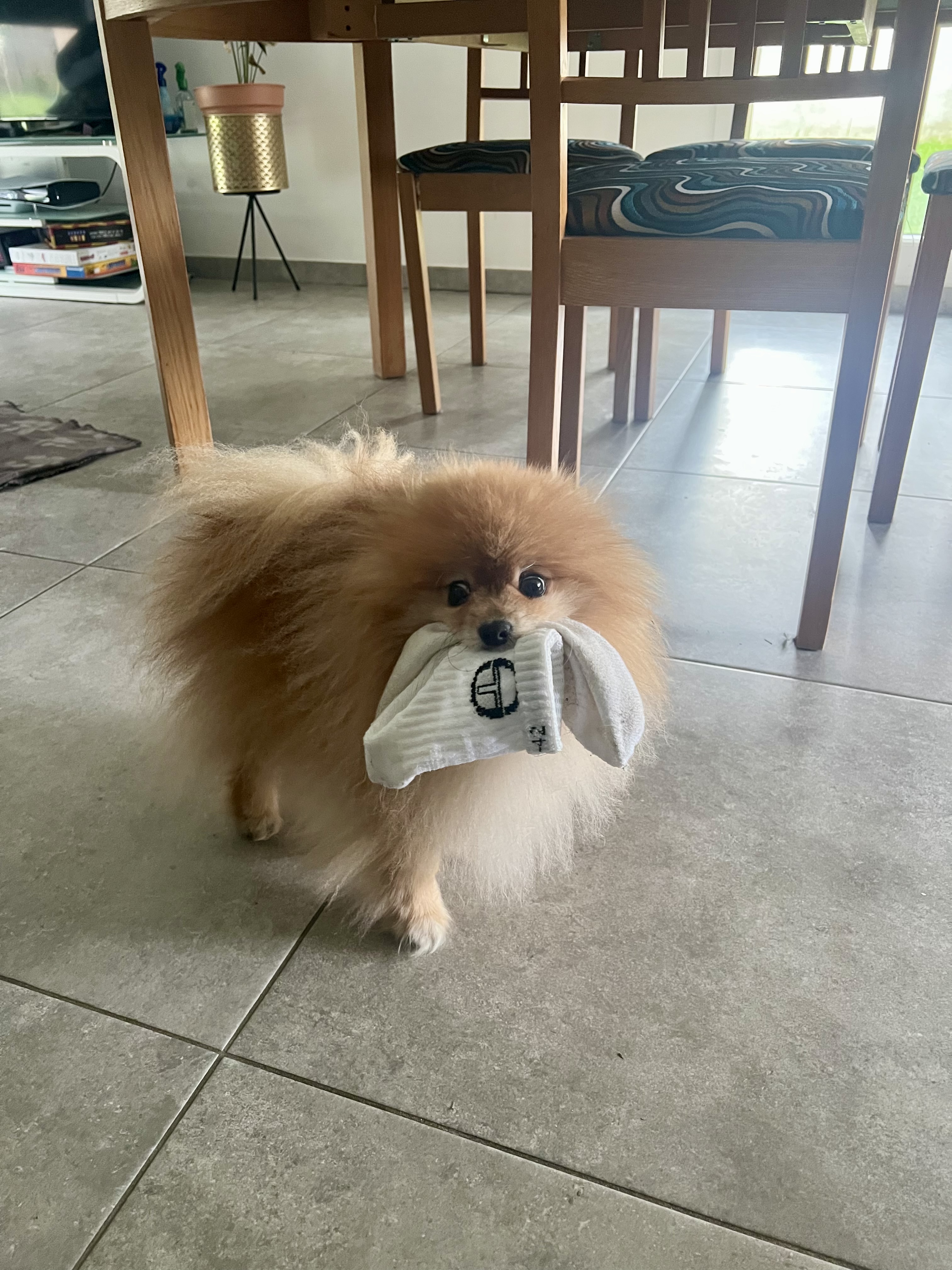 image-12
