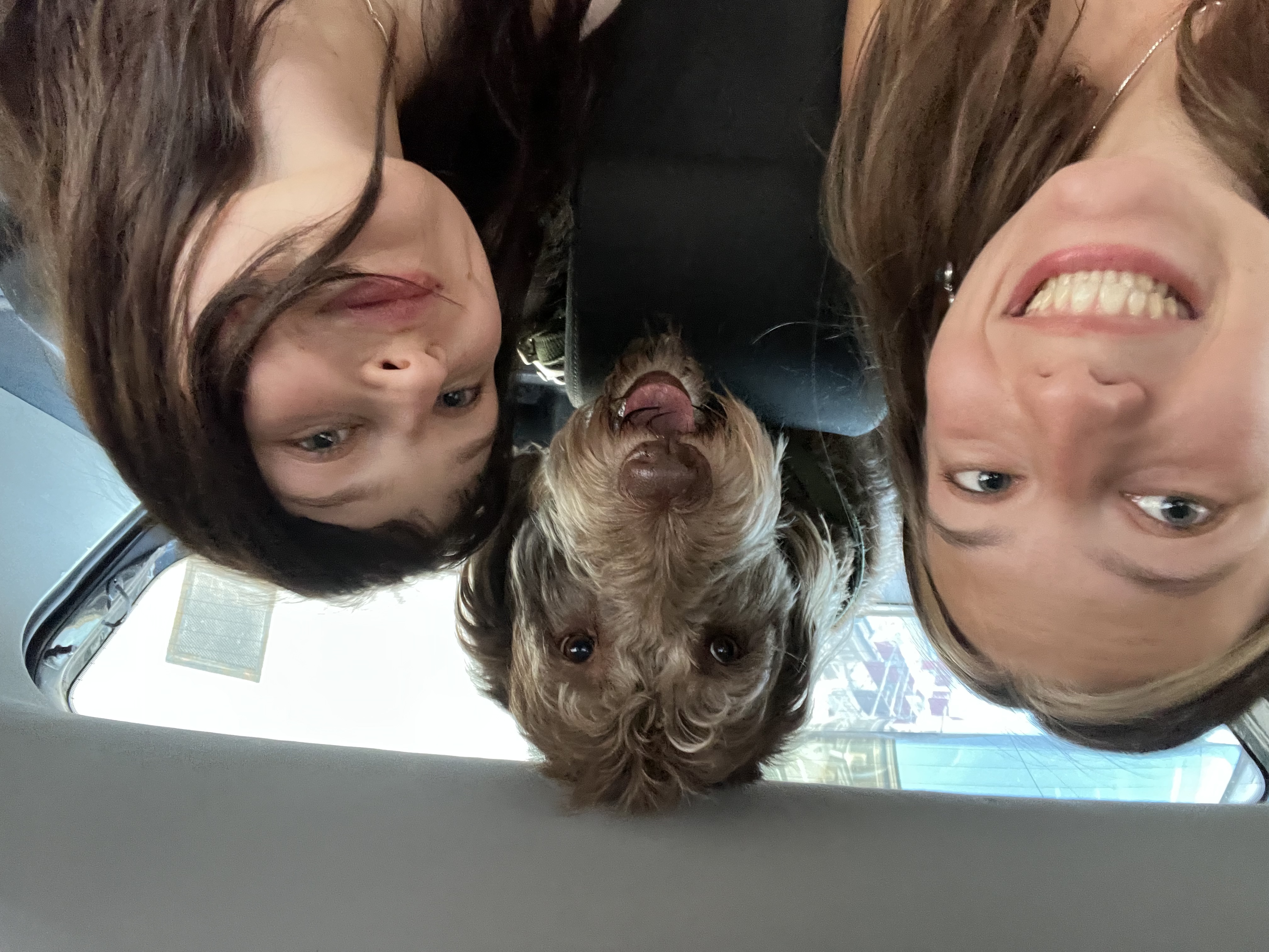 image-0