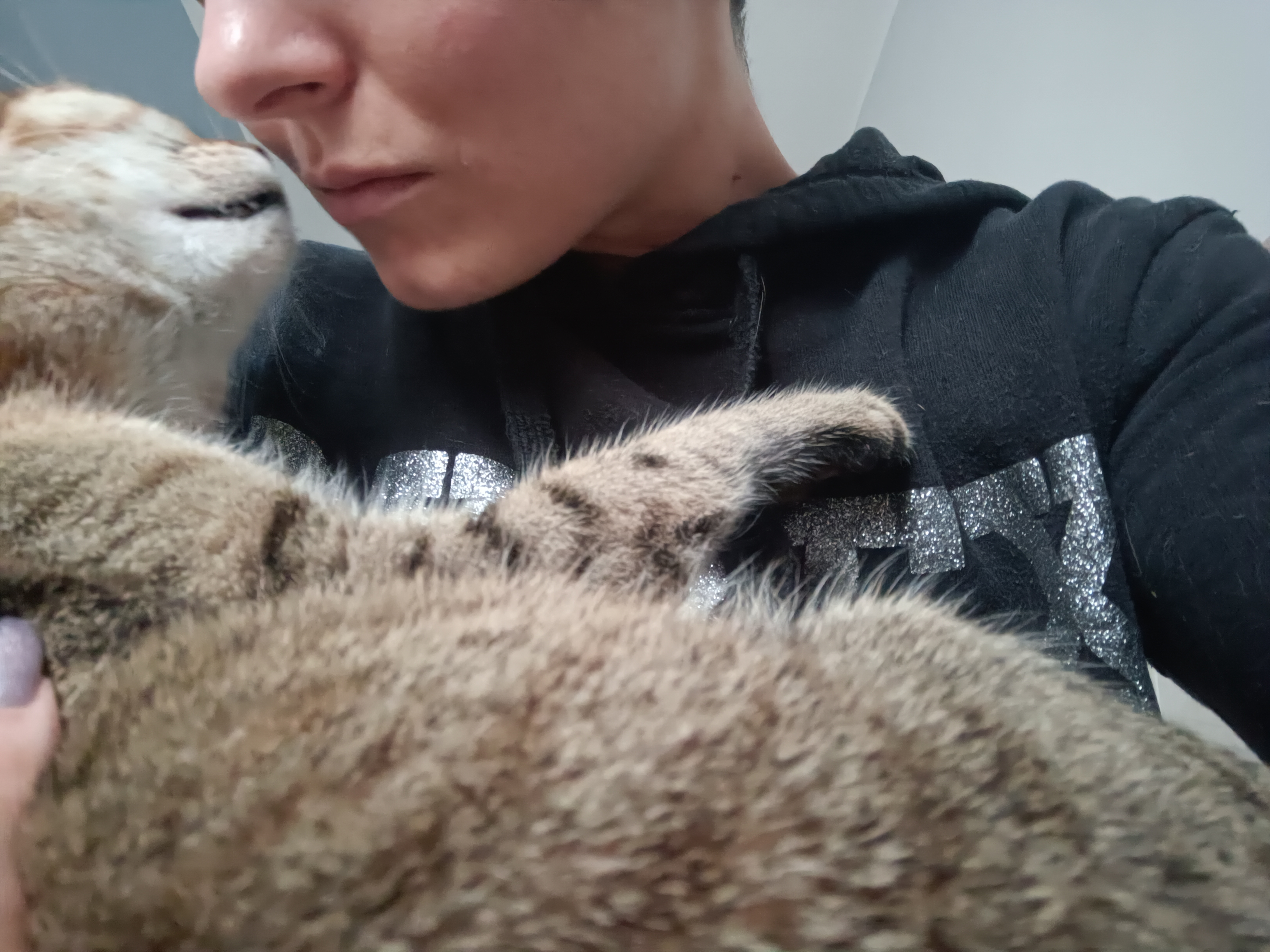 image-8