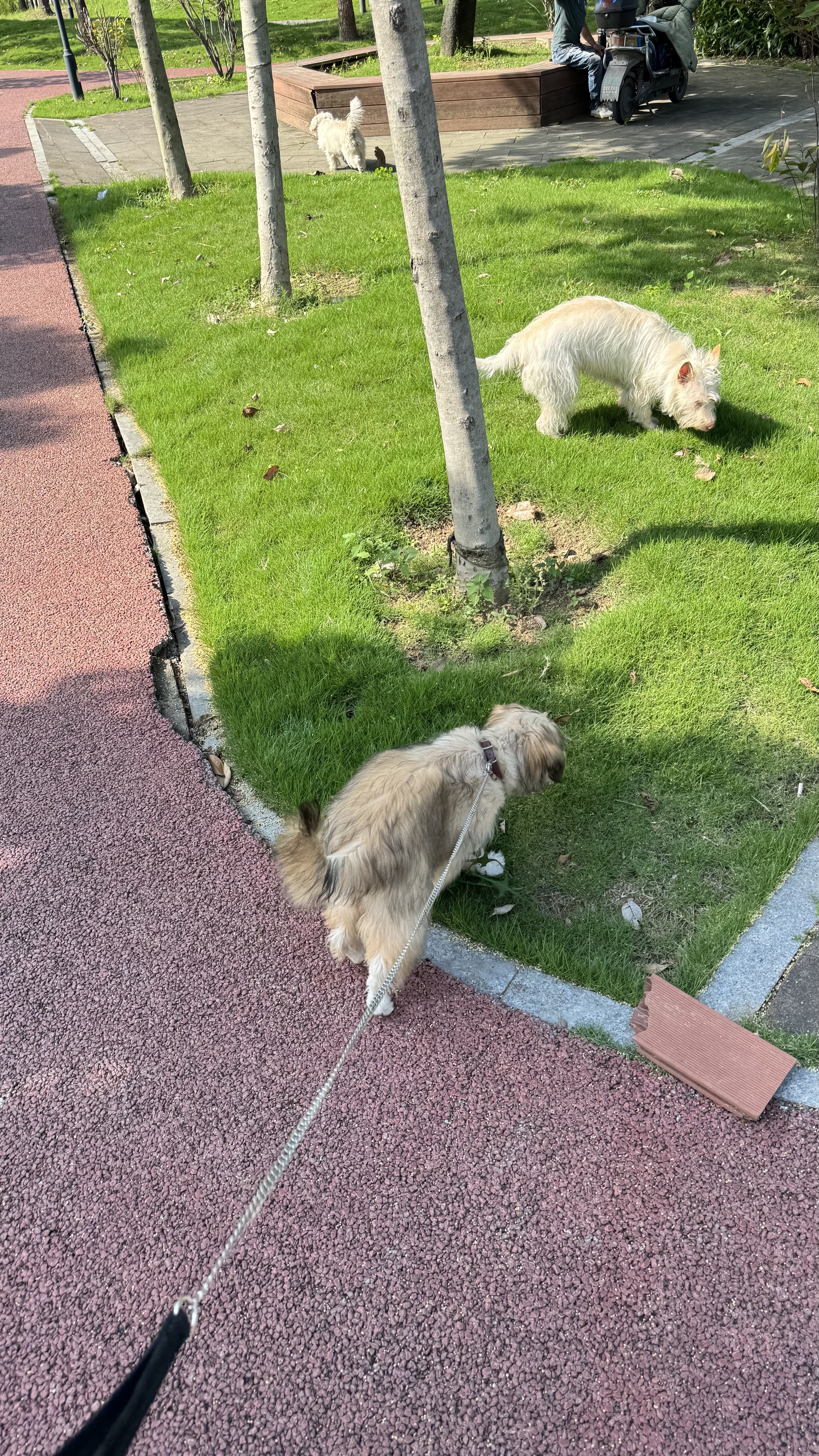 image-5