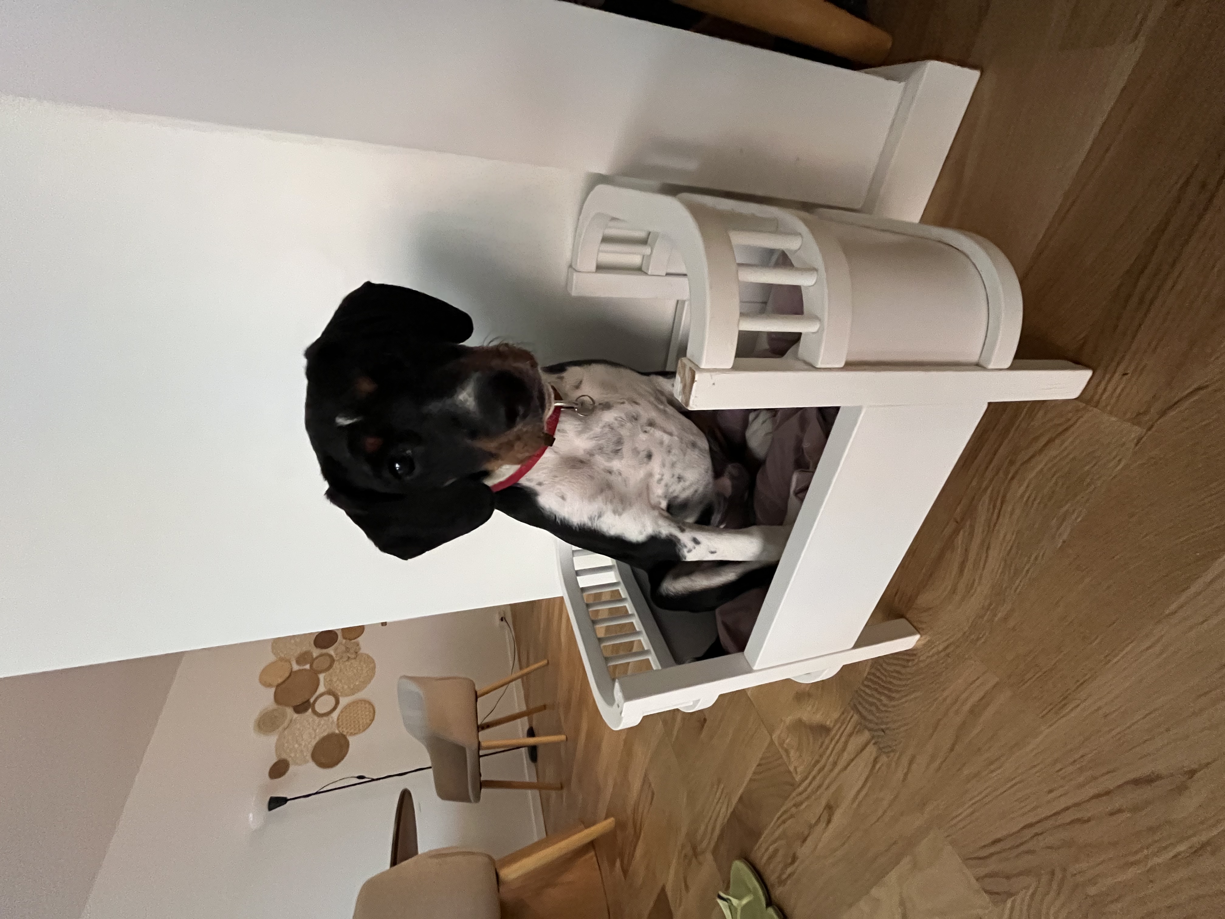 image-11
