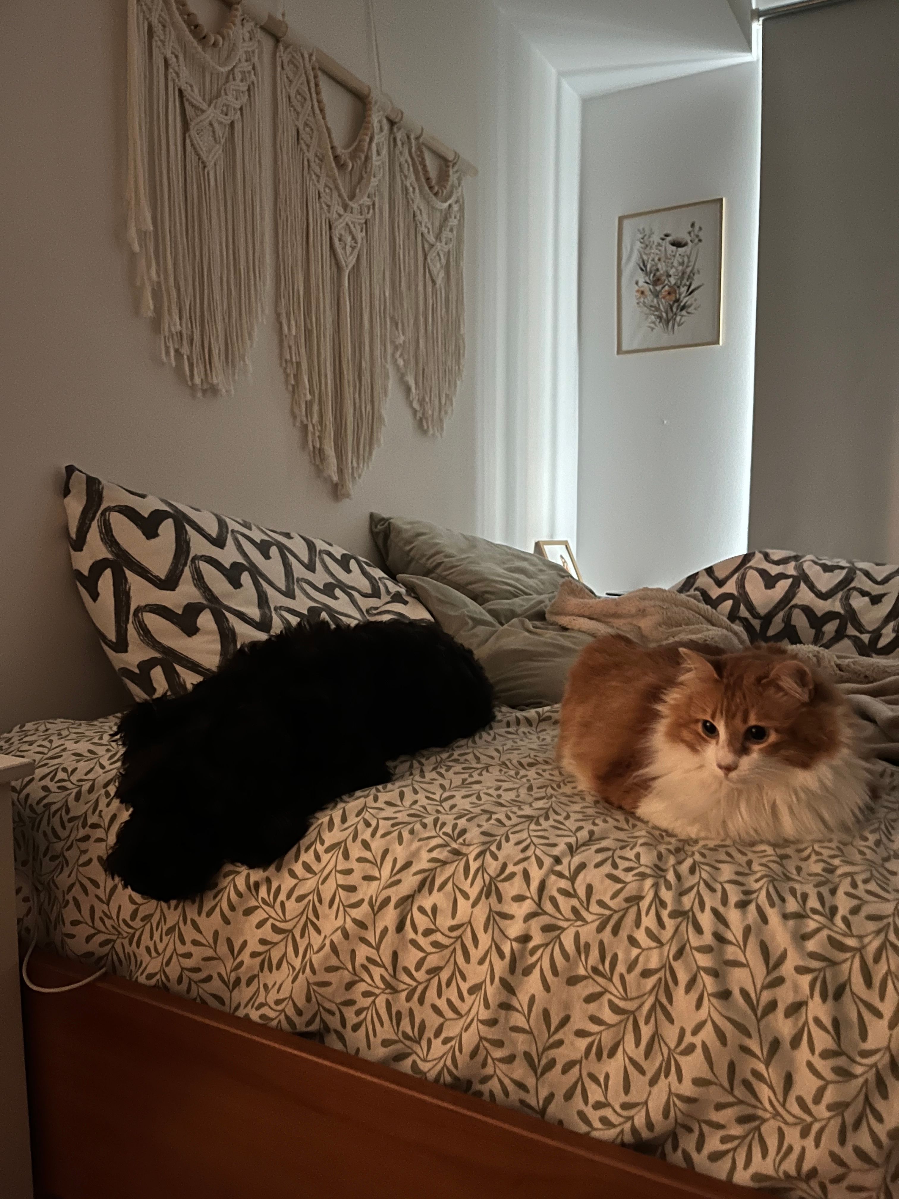 image-17
