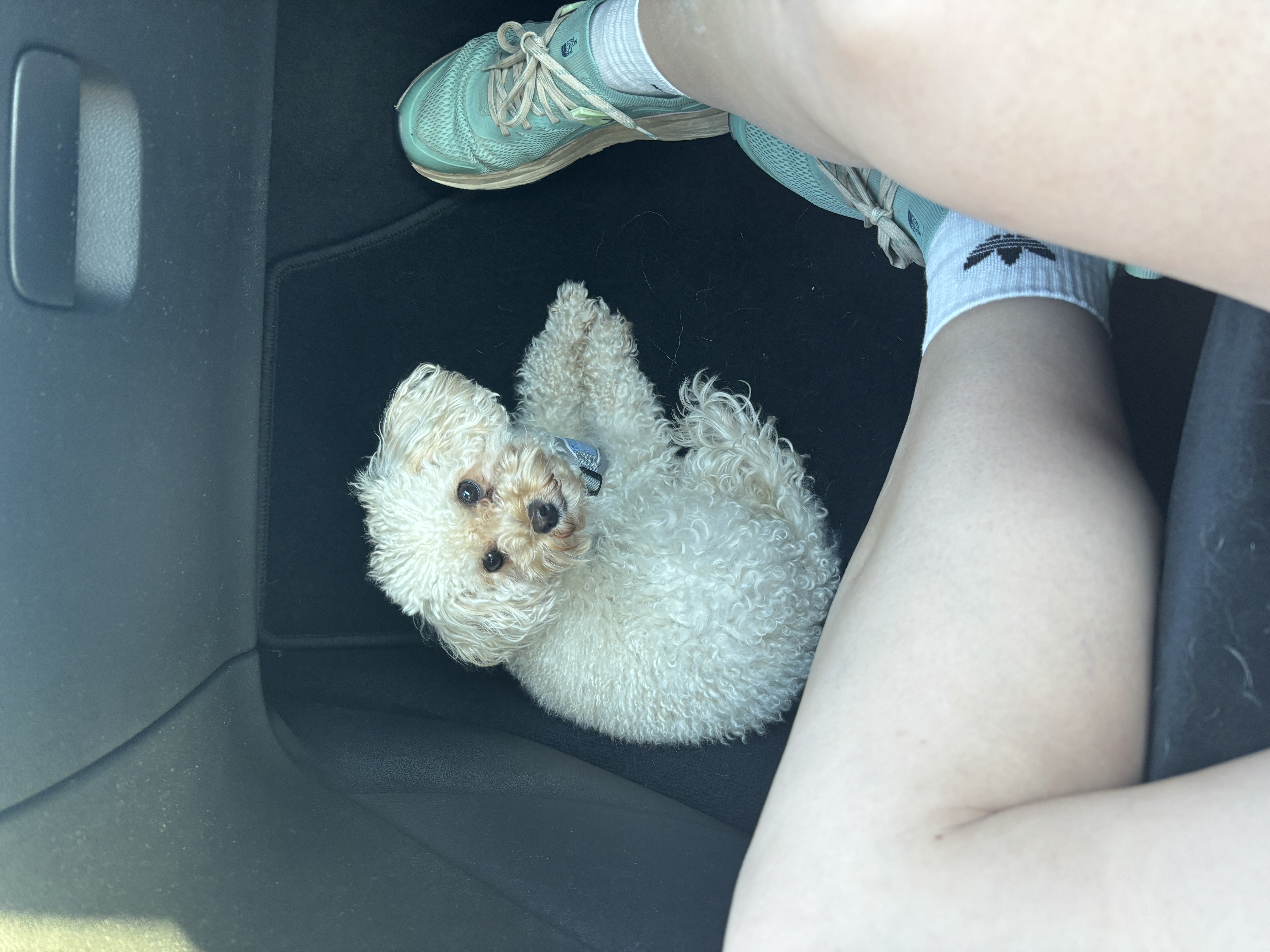image-9