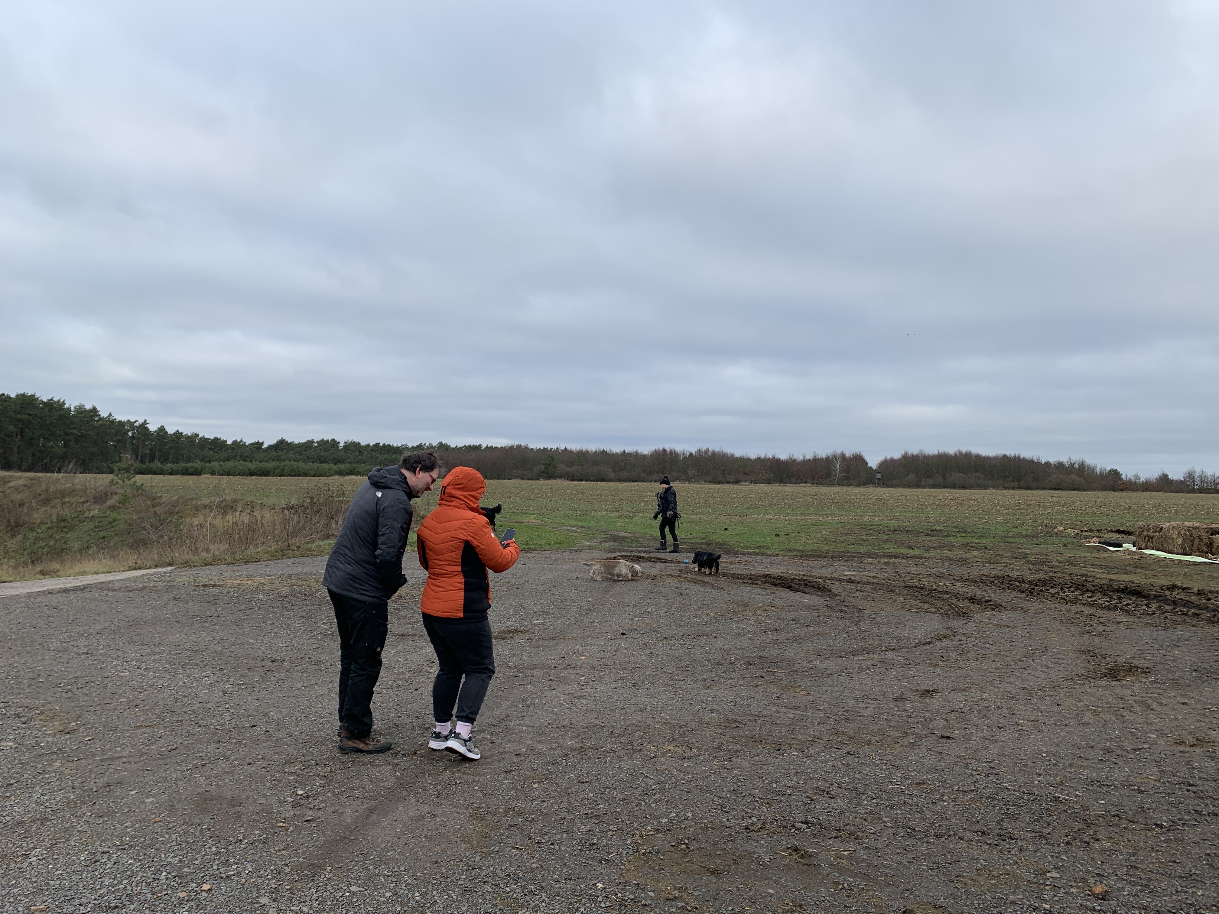 image-12
