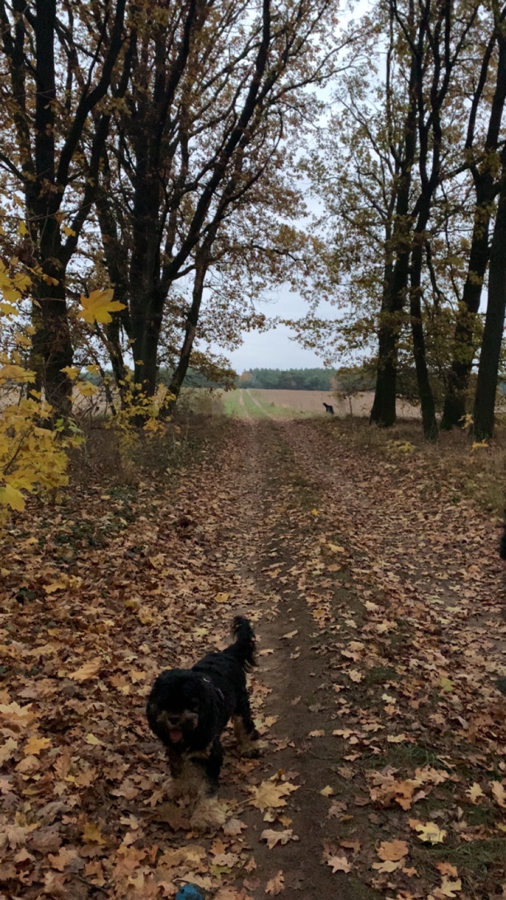 image-14