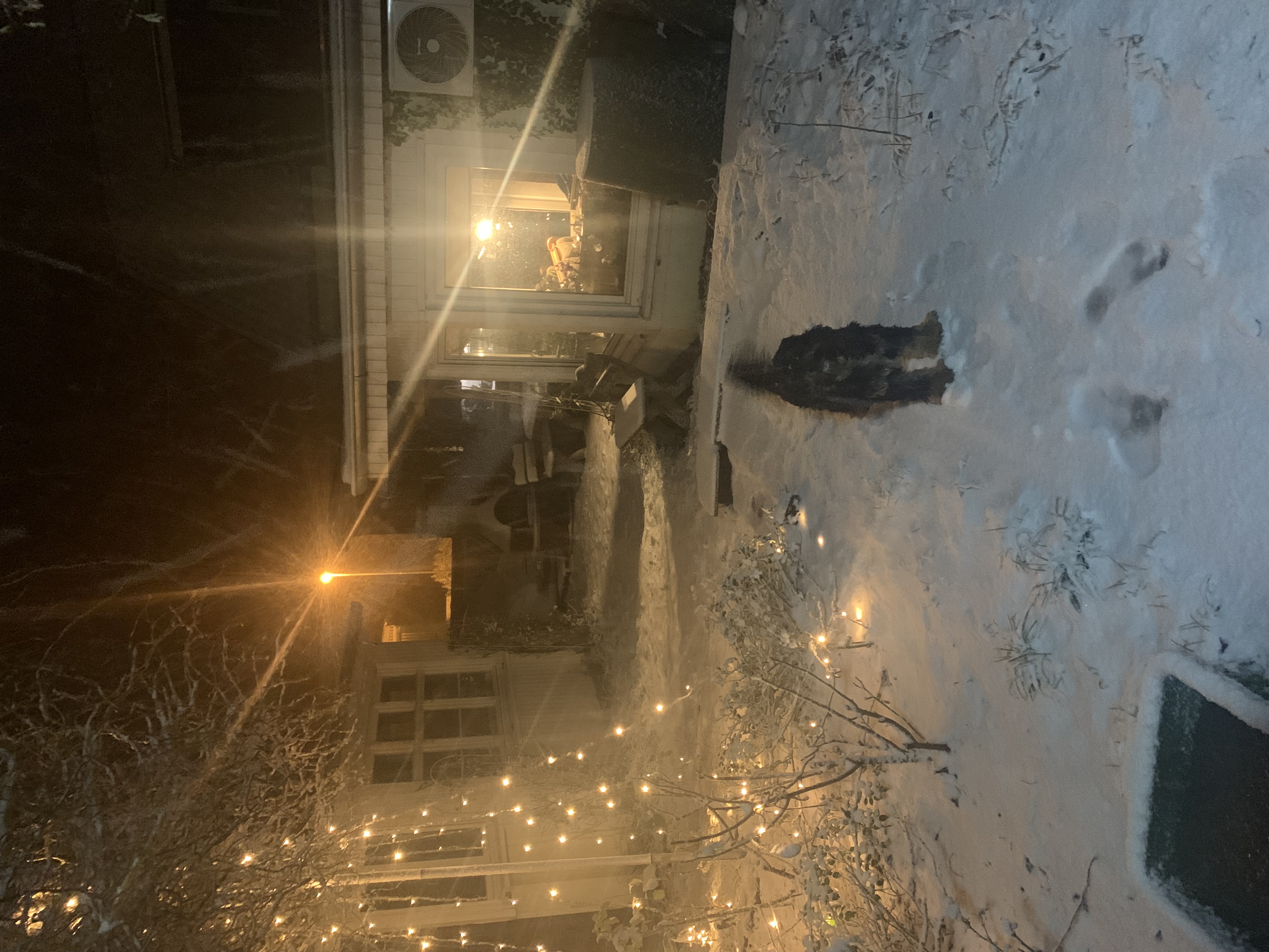 image-11