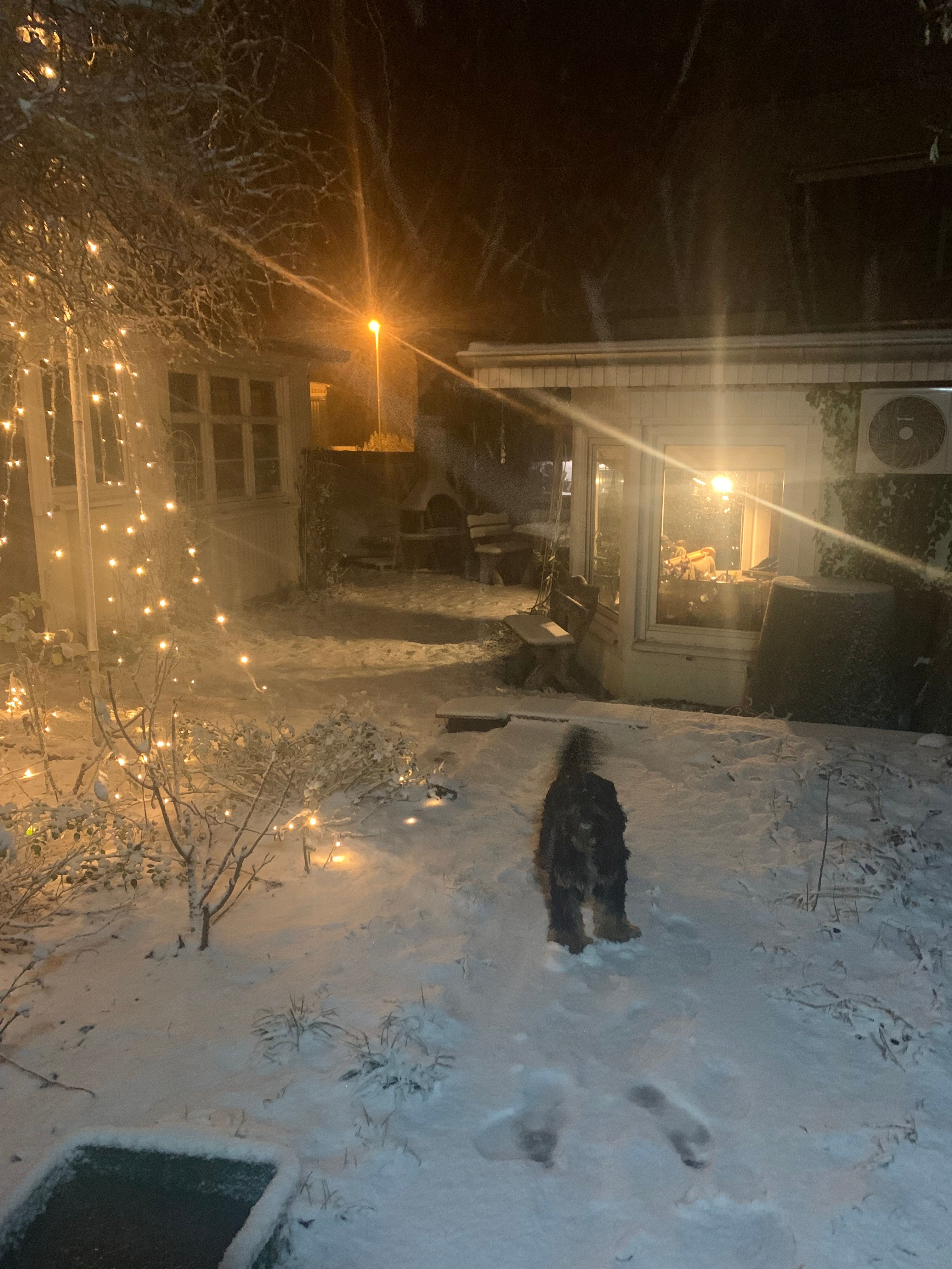 image-11
