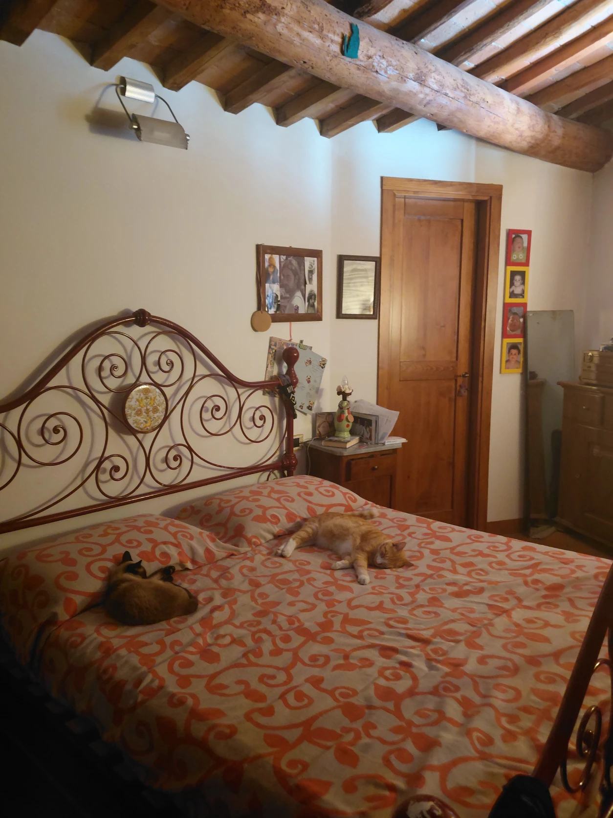 image-12