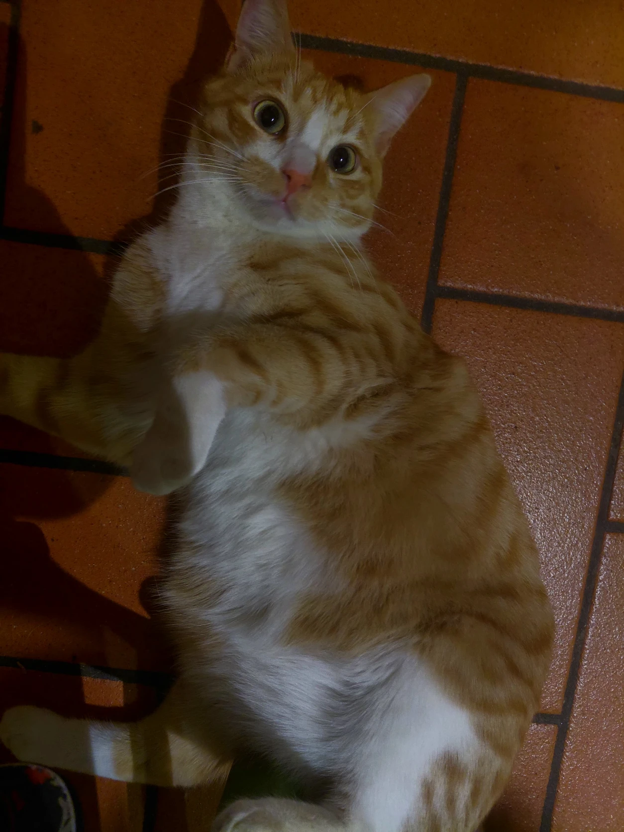 image-6